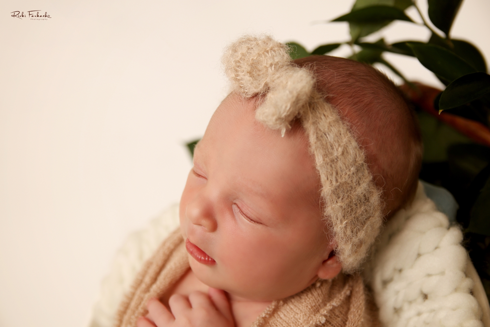 צילום רבקי פרקש (11) (Large).jpg