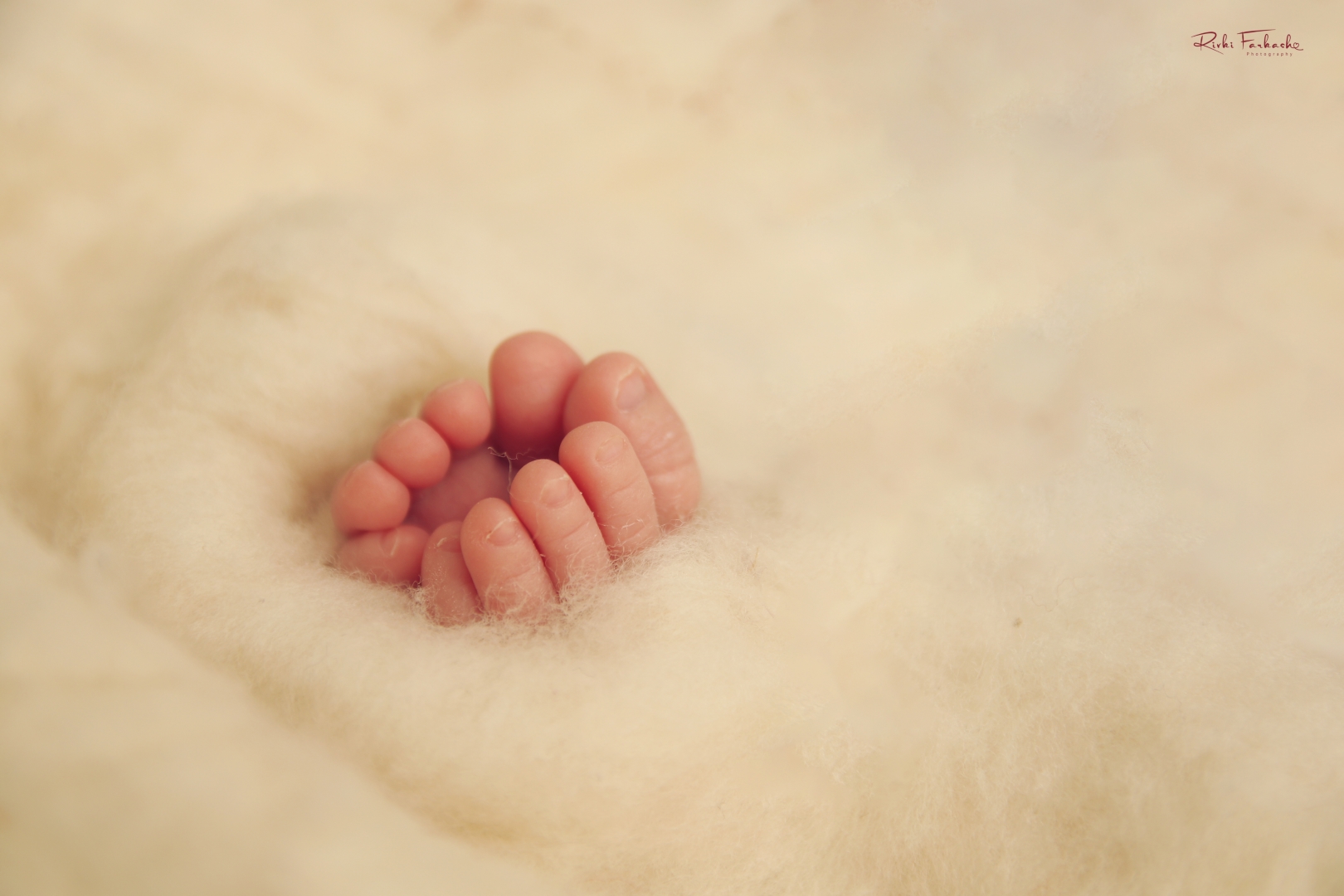 צילום רבקי פרקש (22) (Large).jpg