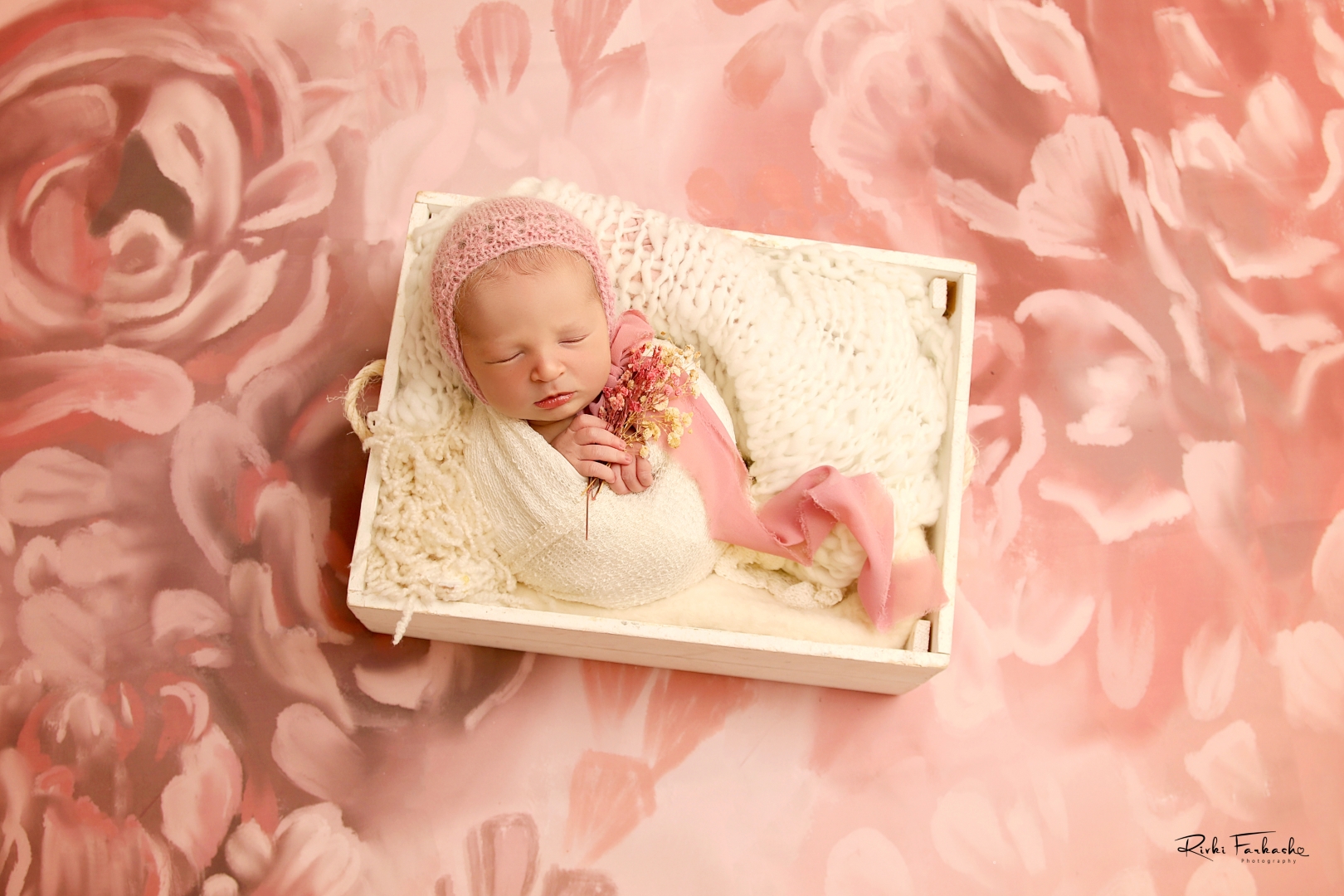 צילום רבקי פרקש (26) (Large).jpg