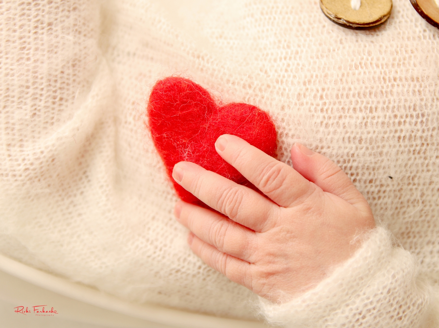 צילום רבקי פרקש (28) (Large).jpg