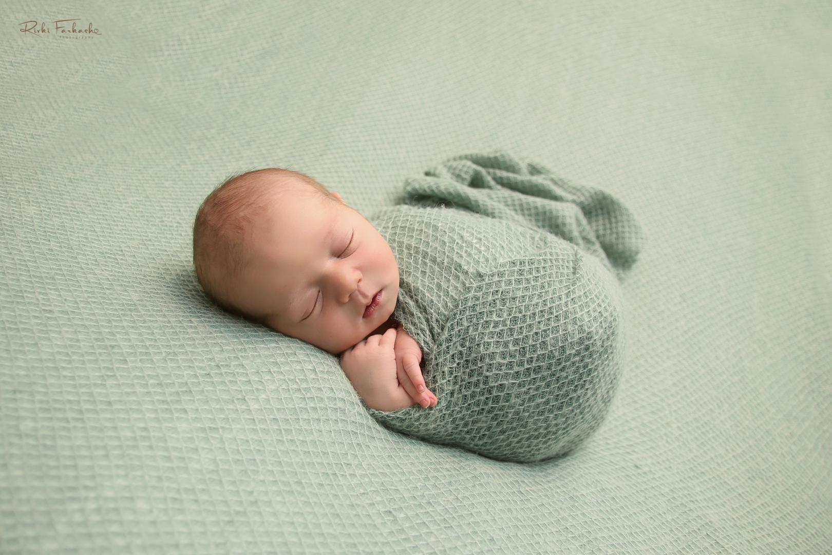 צילום רבקי פרקש (4).jpg