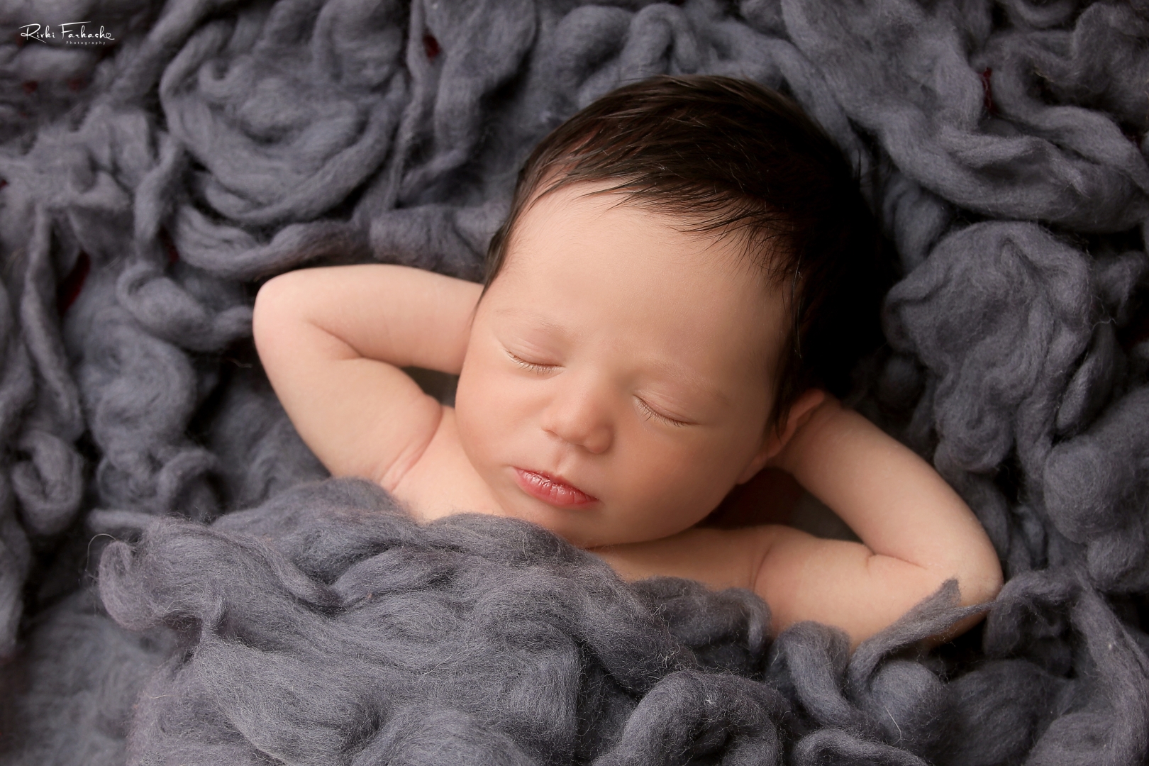 צילום רבקי פרקש (4).jpg