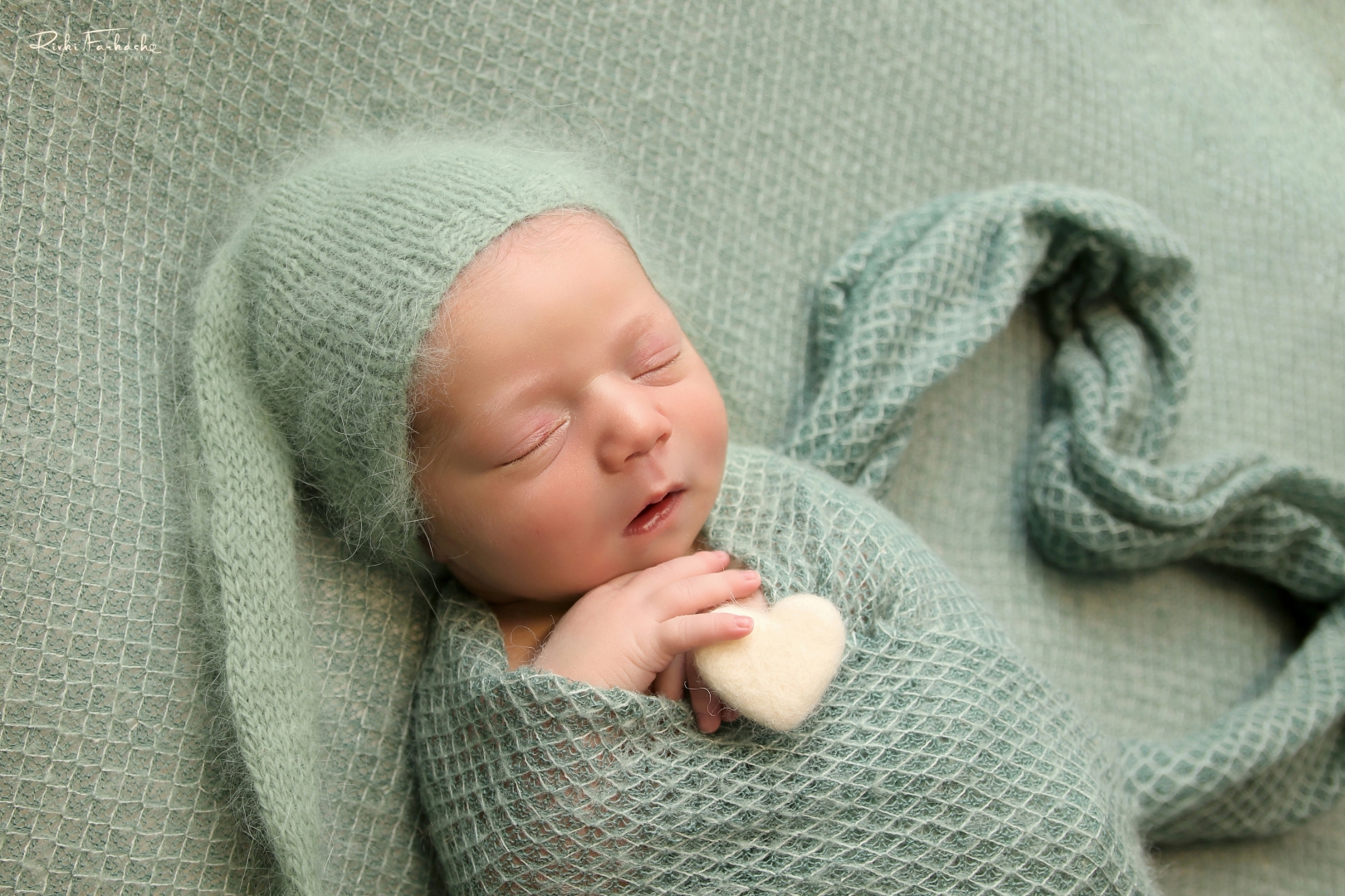 צילום רבקי פרקש (5).jpg