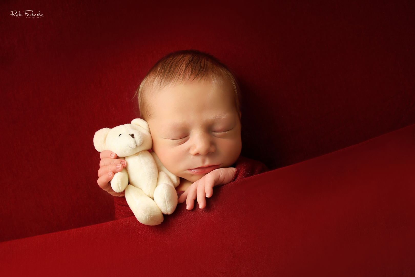 צילום רבקי פרקש (5) (Large).jpg