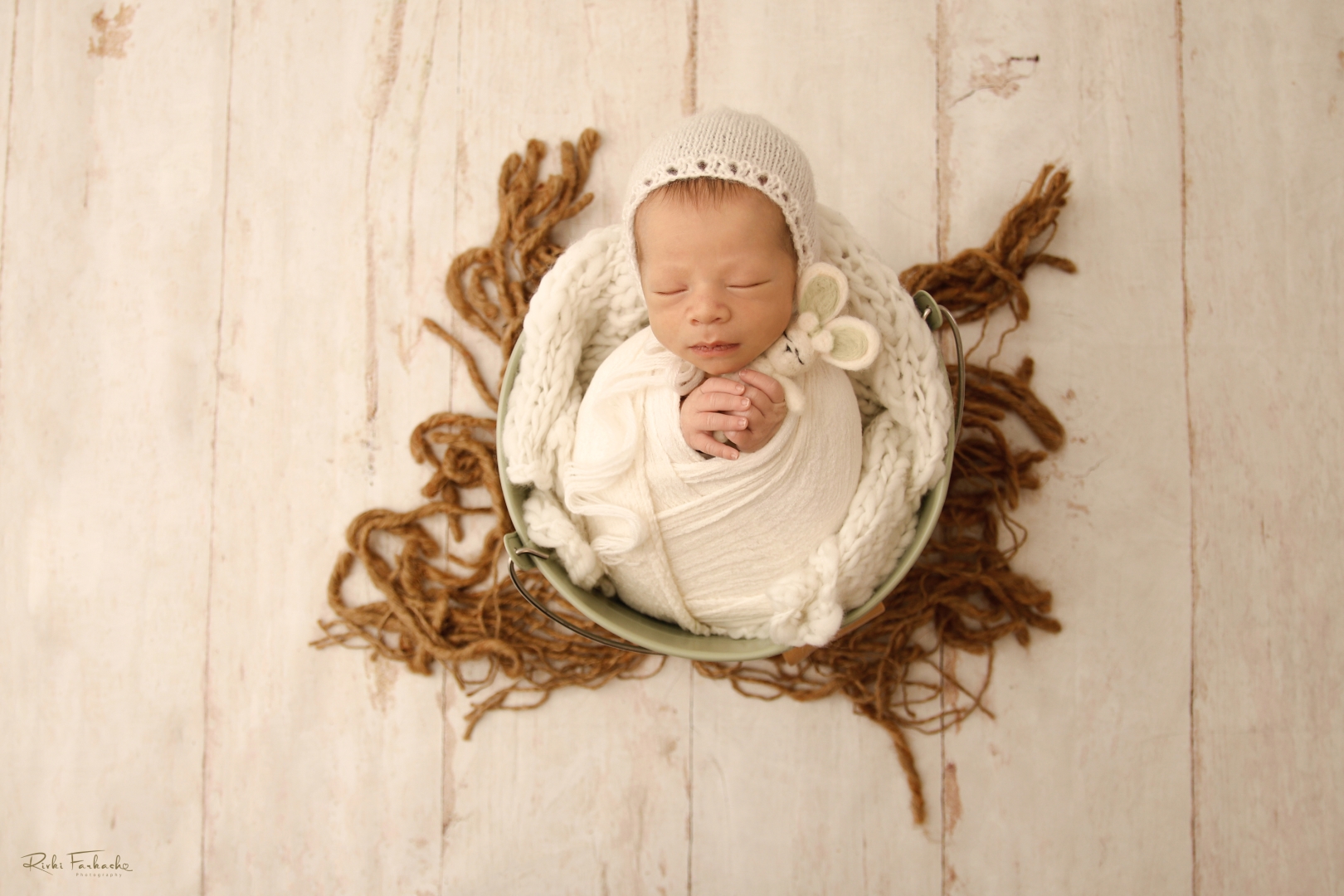 צילום רבקי פרקש (6).jpg