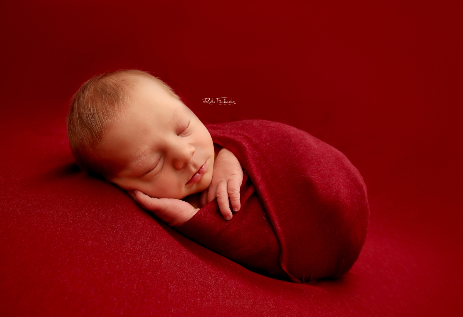 צילום רבקי פרקש (6) (Large).jpg