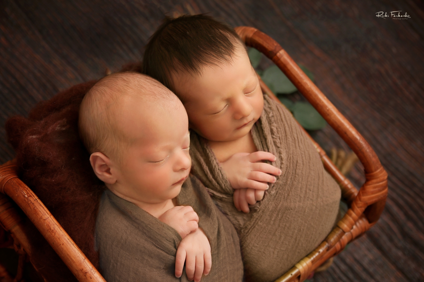 צילום רבקי פרקש (8) (Large).jpg