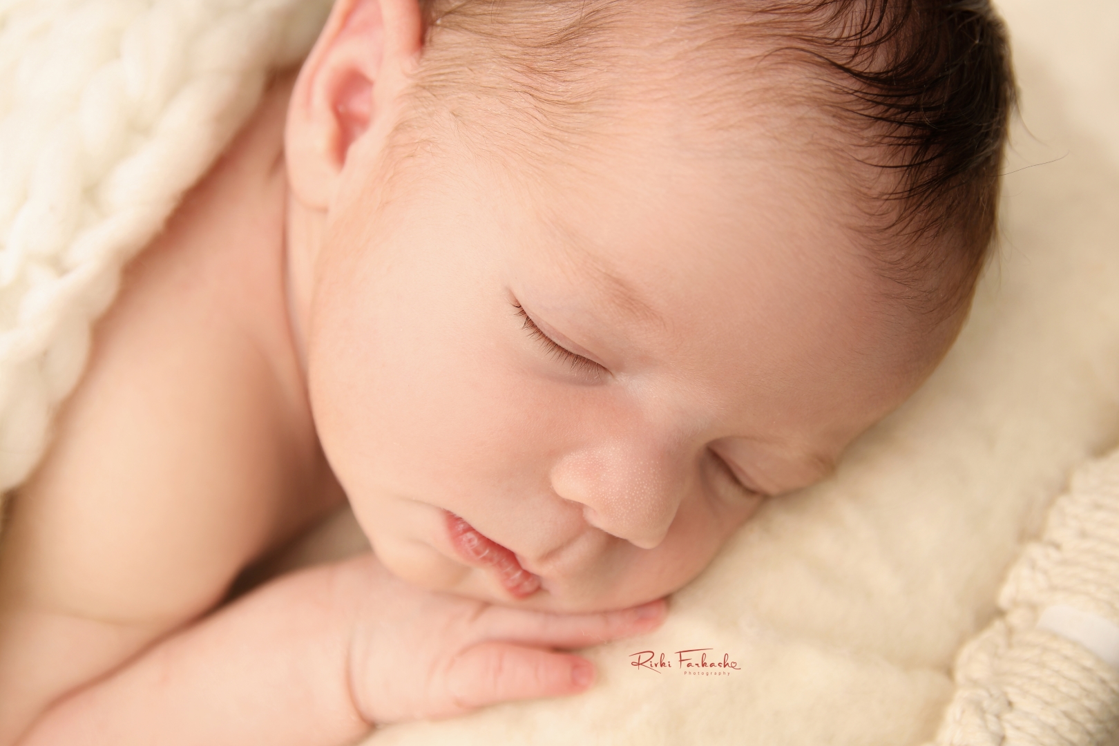 צילום רבקי פרקש.jpg 2 (Large).jpg