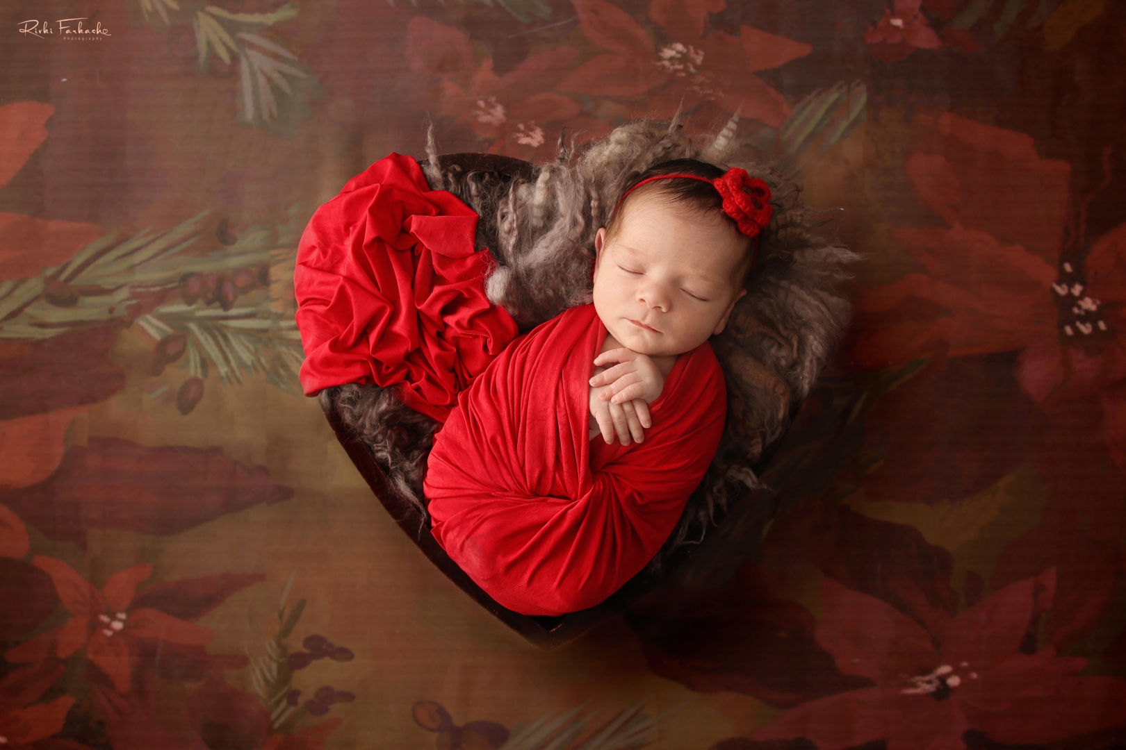 צילום רבקי פרקש.jpg 5 (Large).jpg