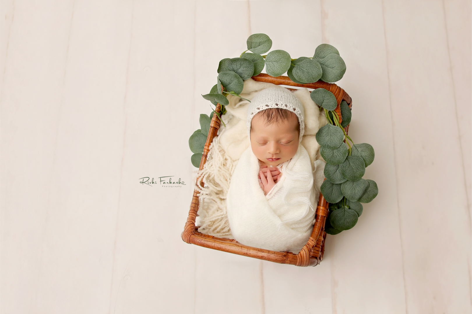 צילום רבקי פרקש.jpg