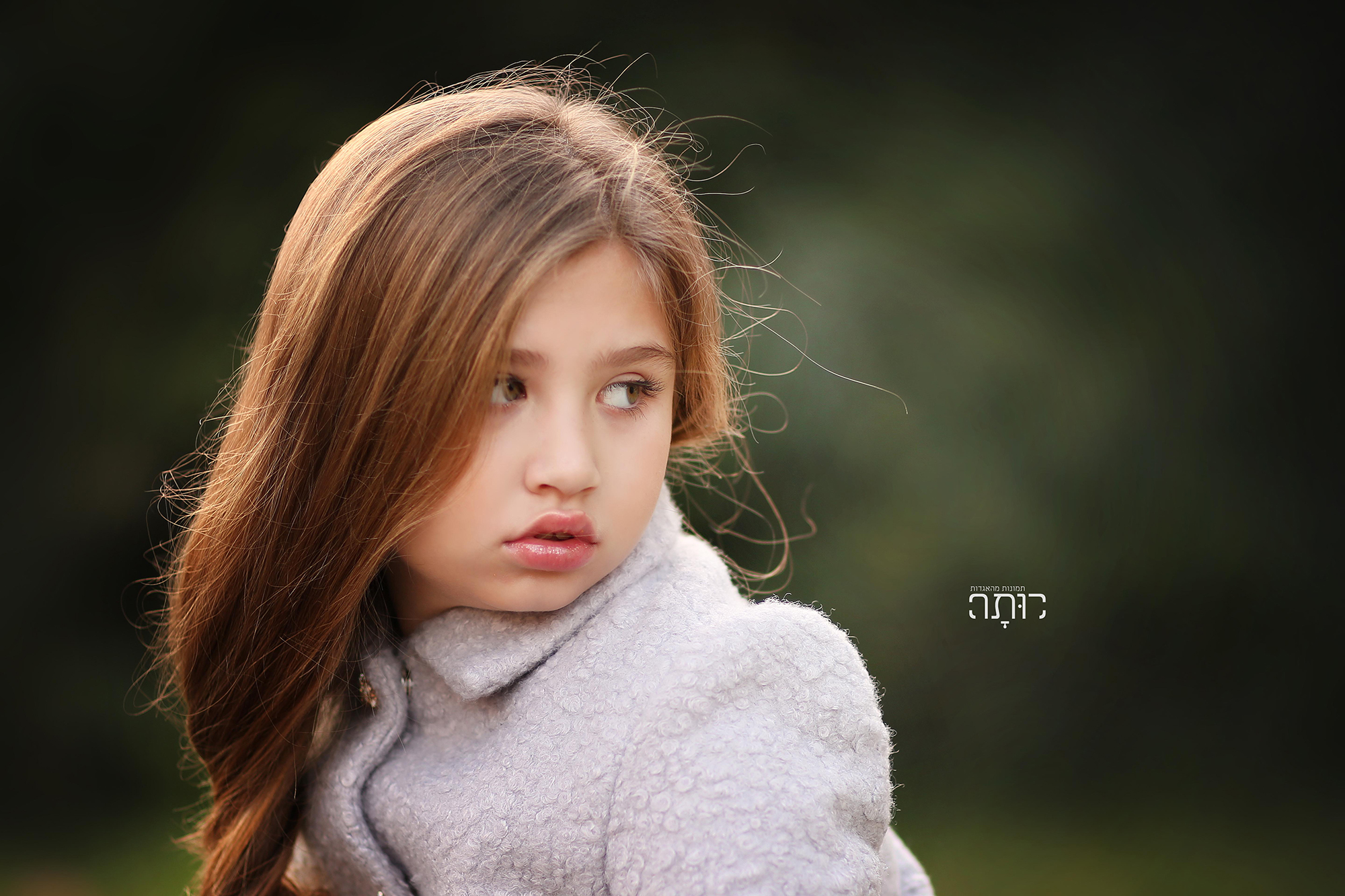 צילום: רותי טובי 054-849-4461