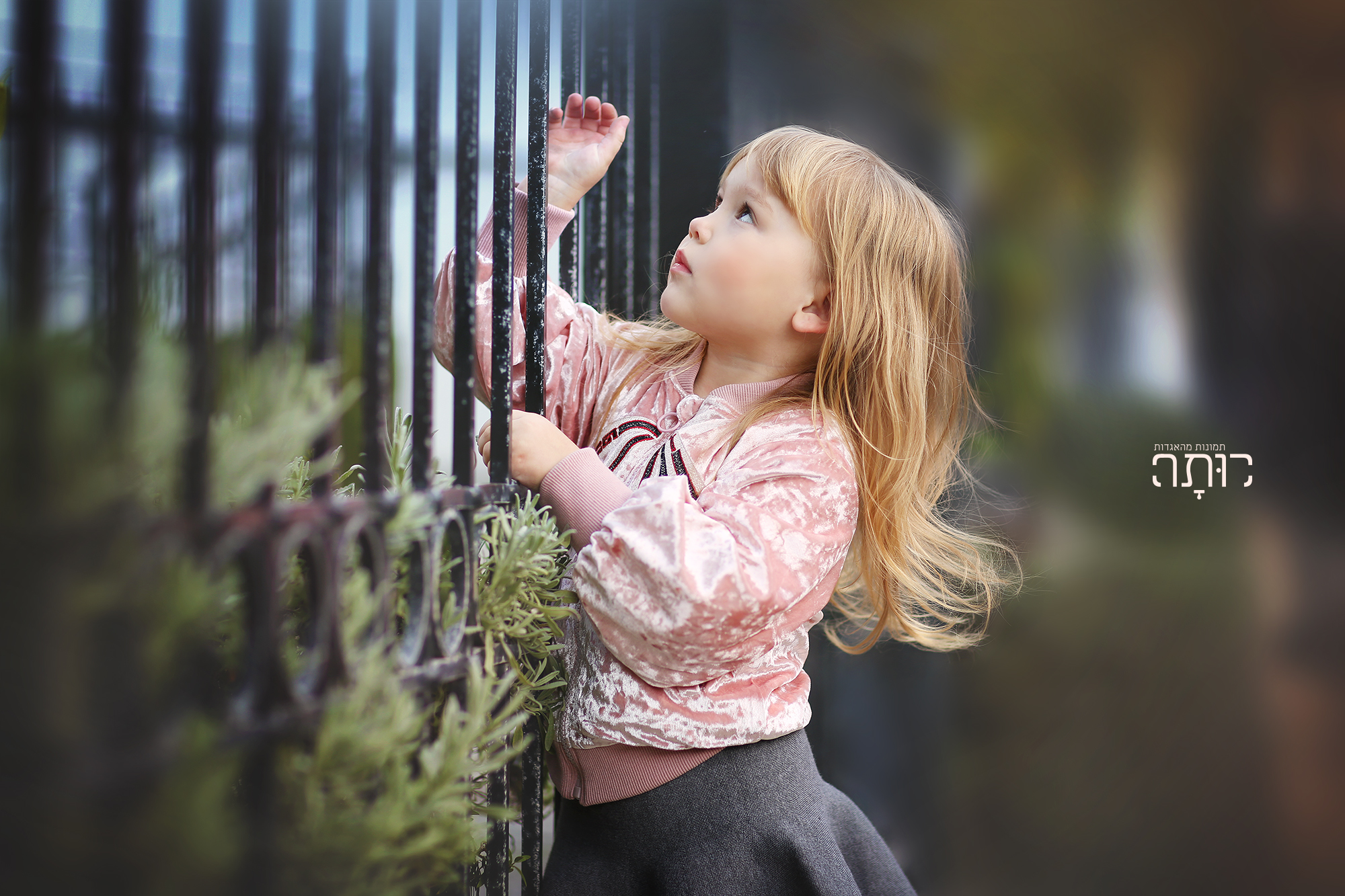 צילום: רותי טובי 054-849-4461