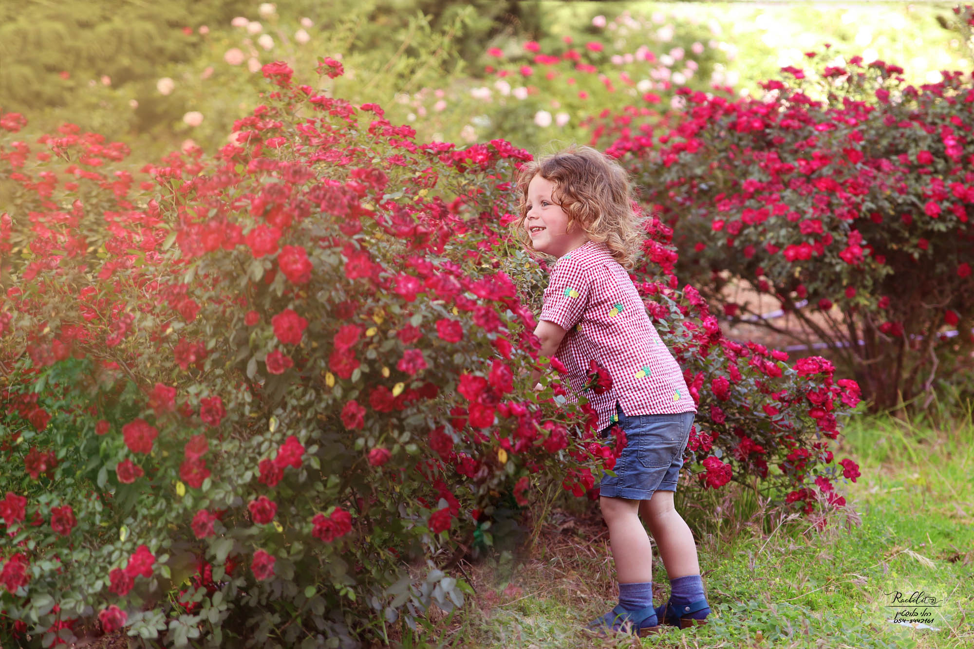 צילום רחלי בלושטיין-62 copy.jpg