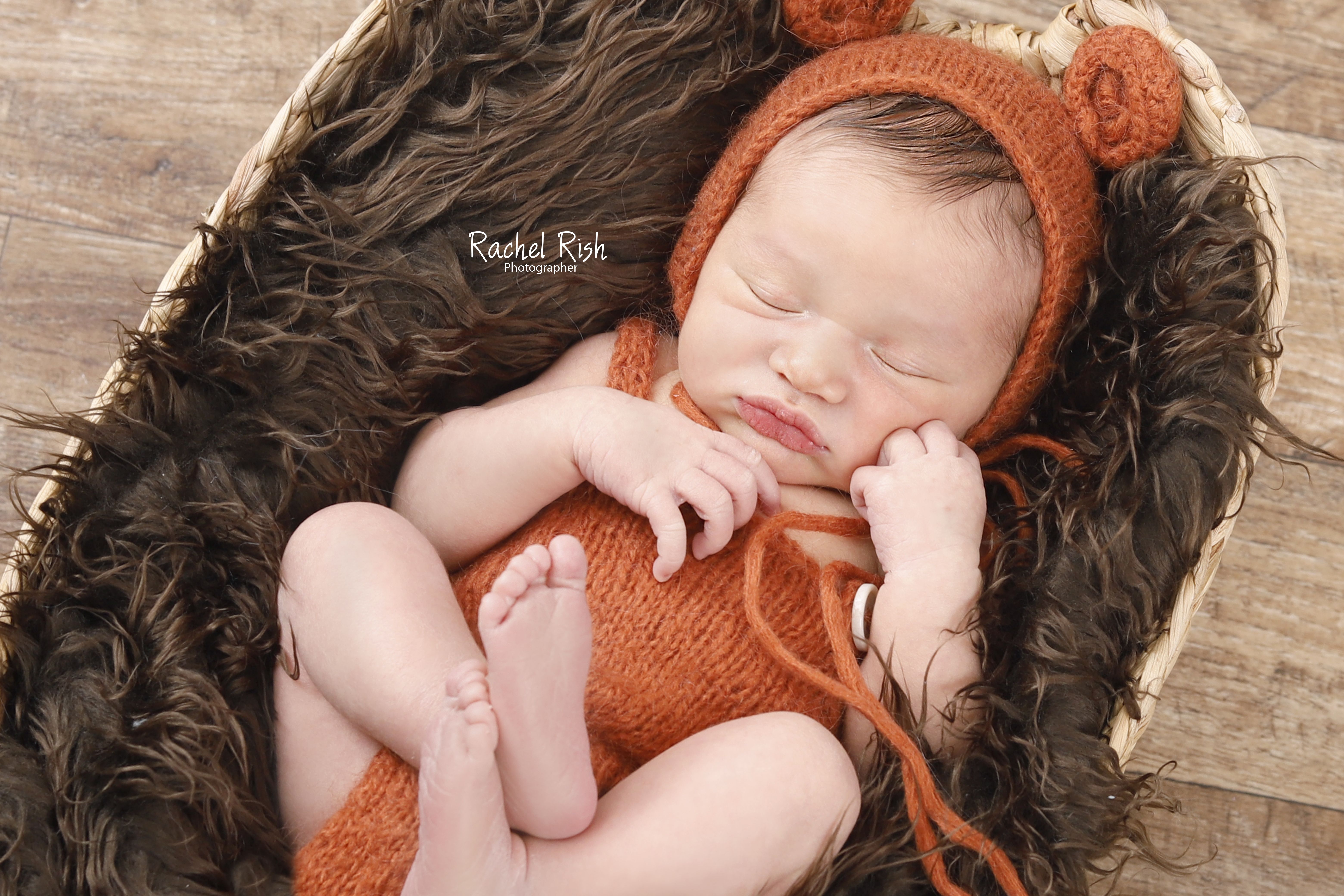 צילום רחל ריש 0556873139