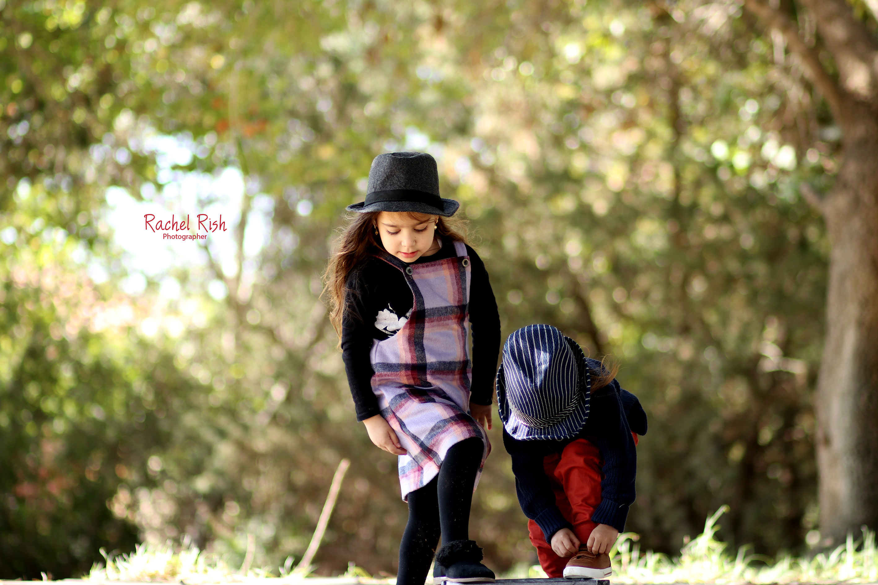 צילום רחל ריש