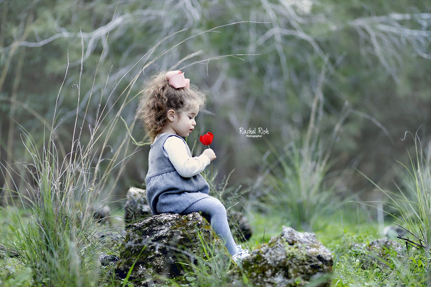 צילום רחל ריש