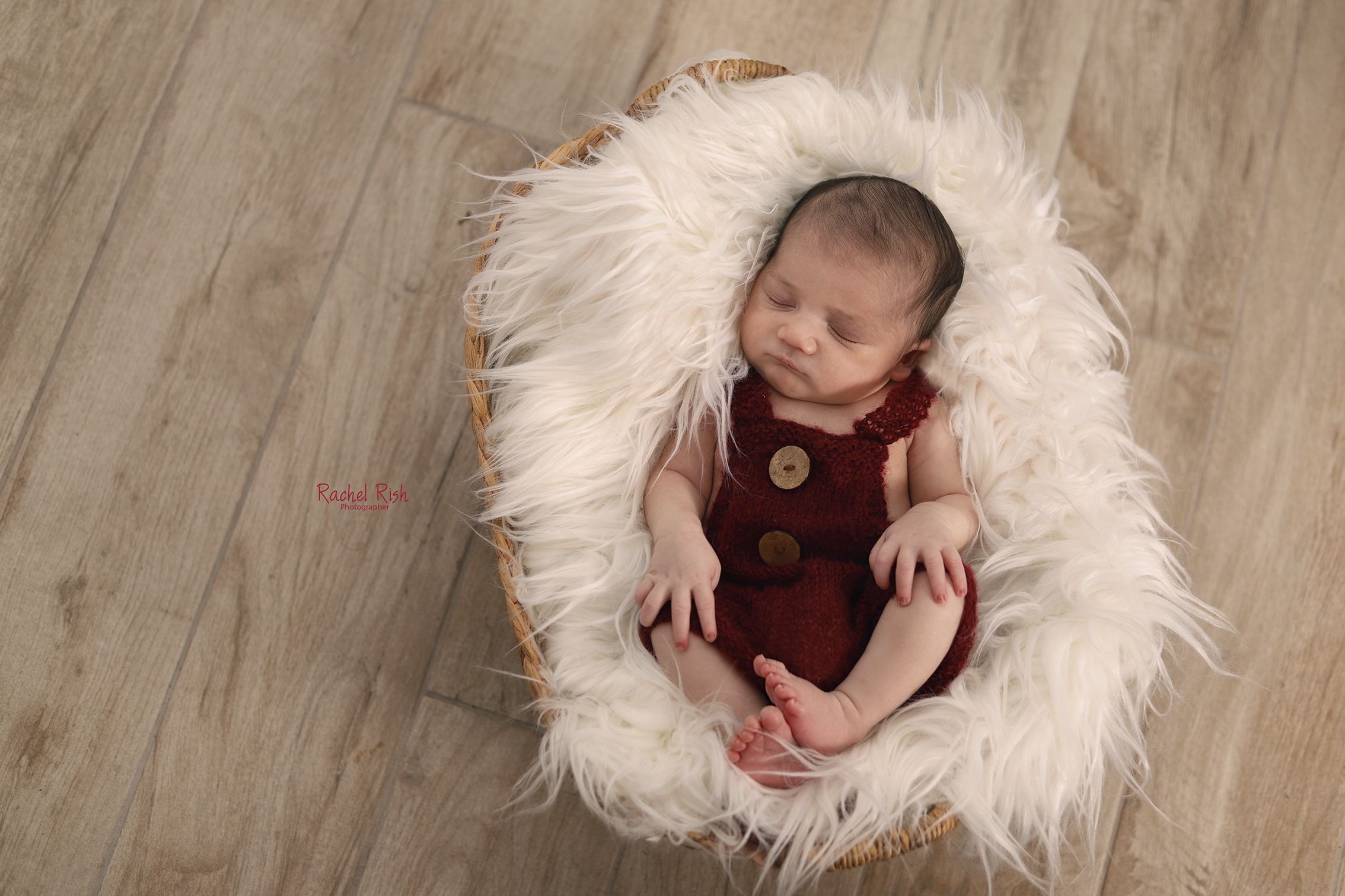 צילום רחל ריש