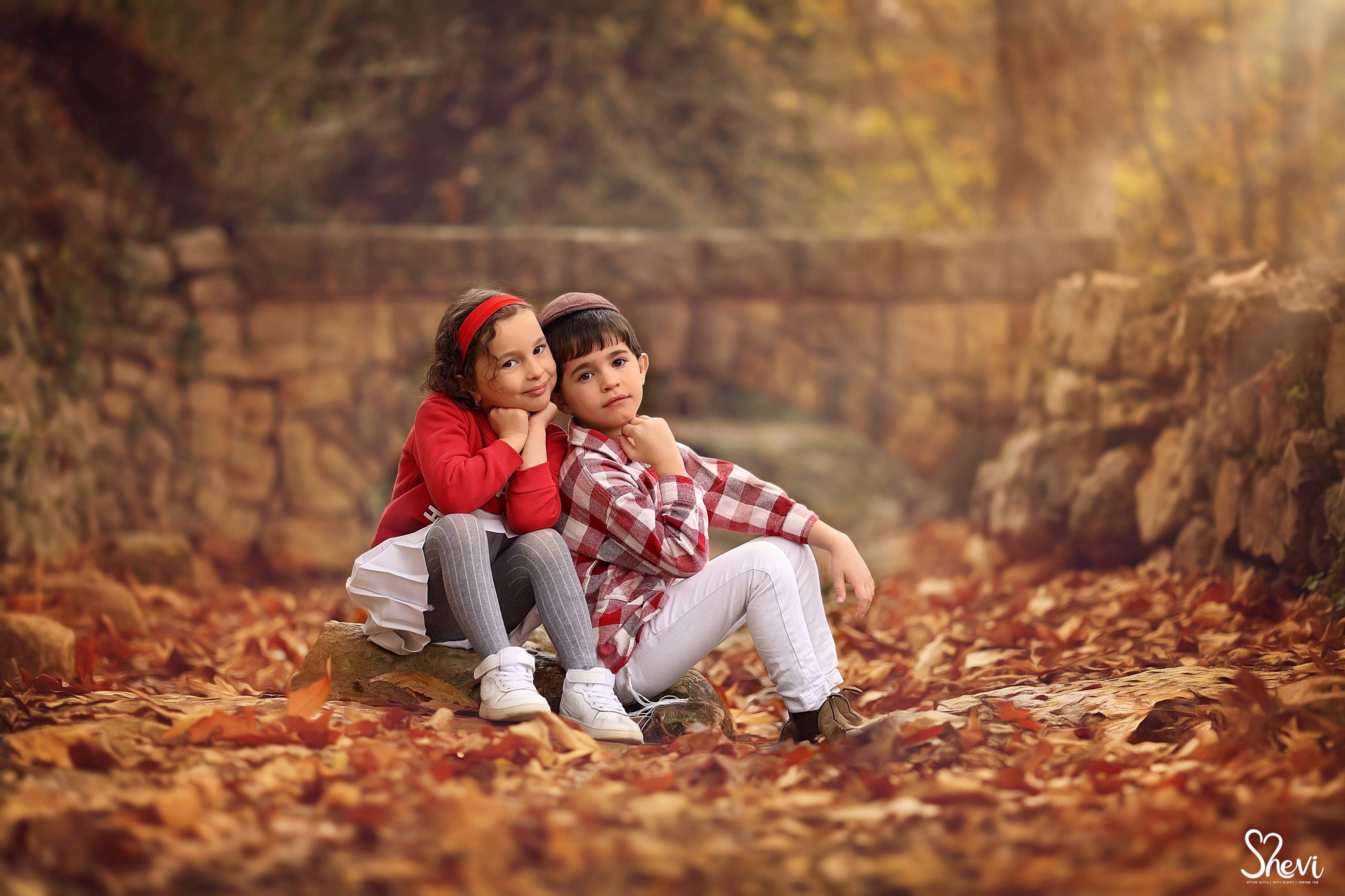 צילום: שבי 0527189310