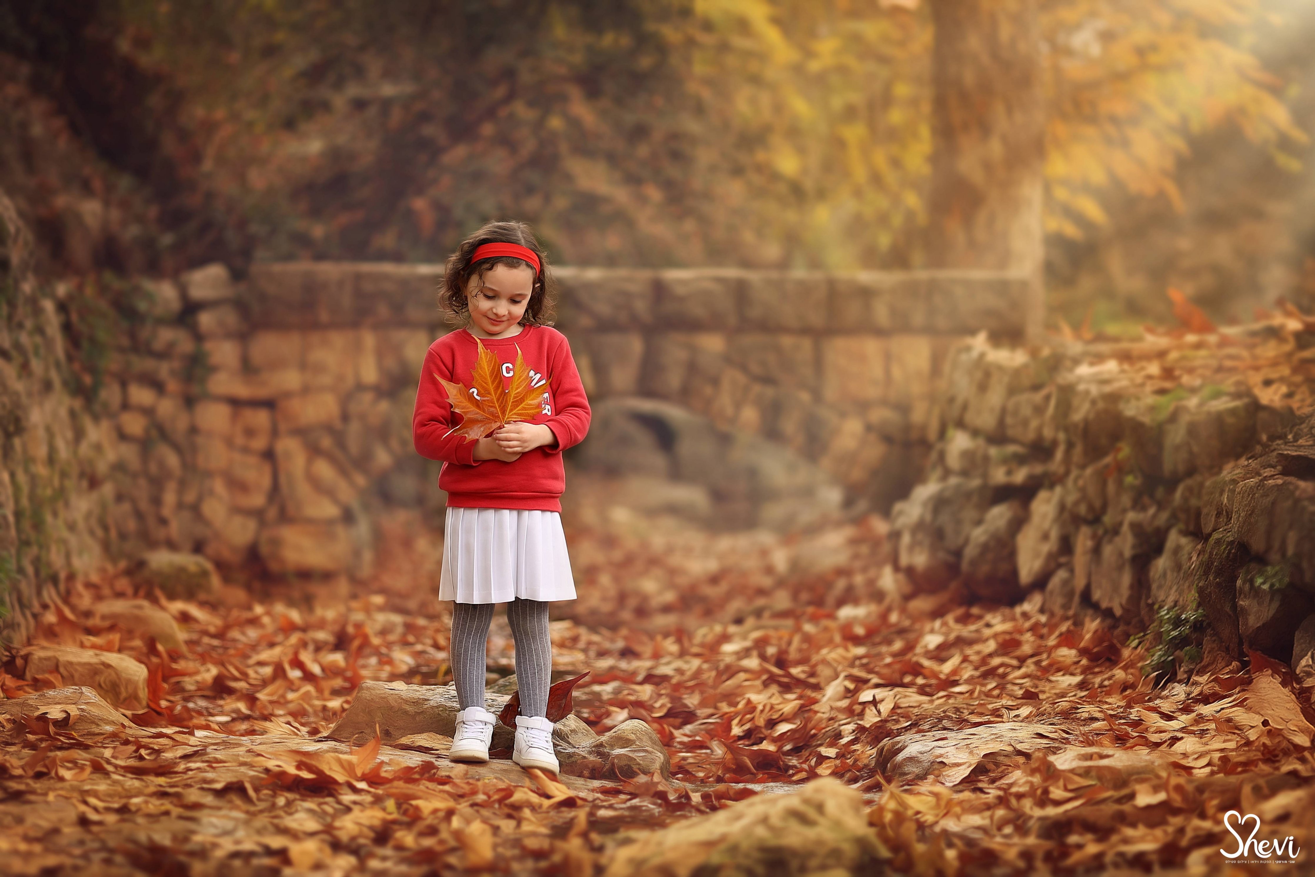 צילום: שבי 0527189310