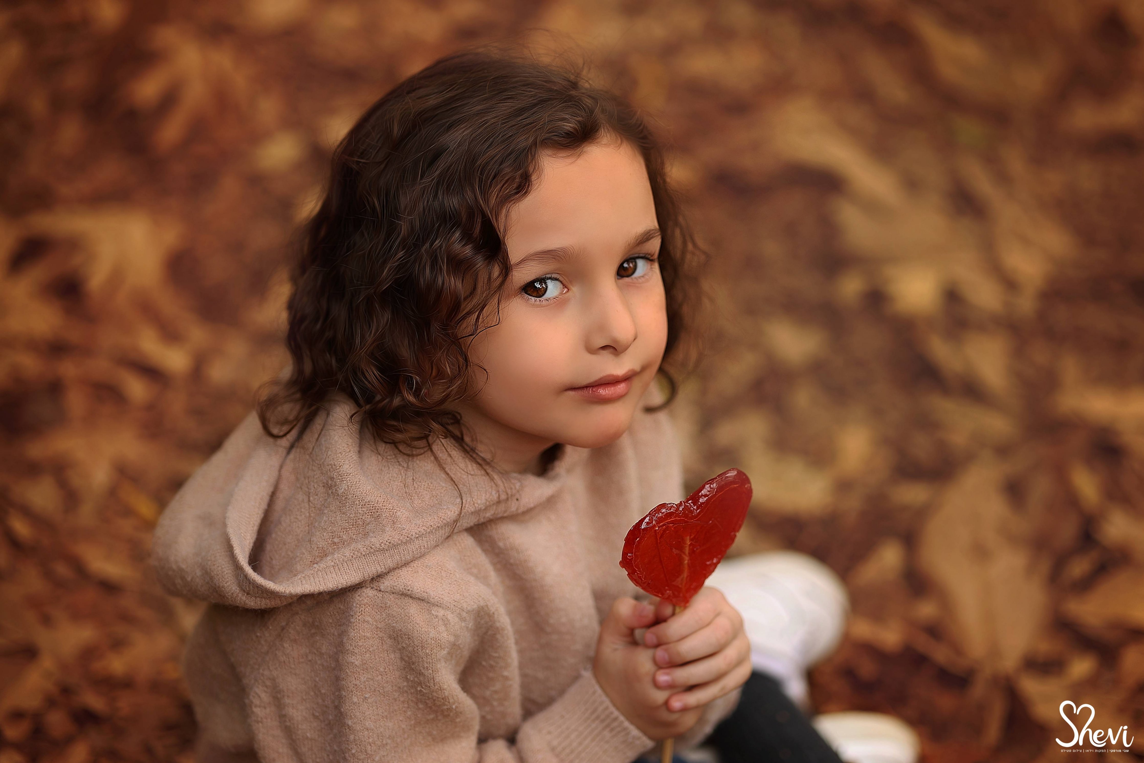 צילום: שבי 0527189310