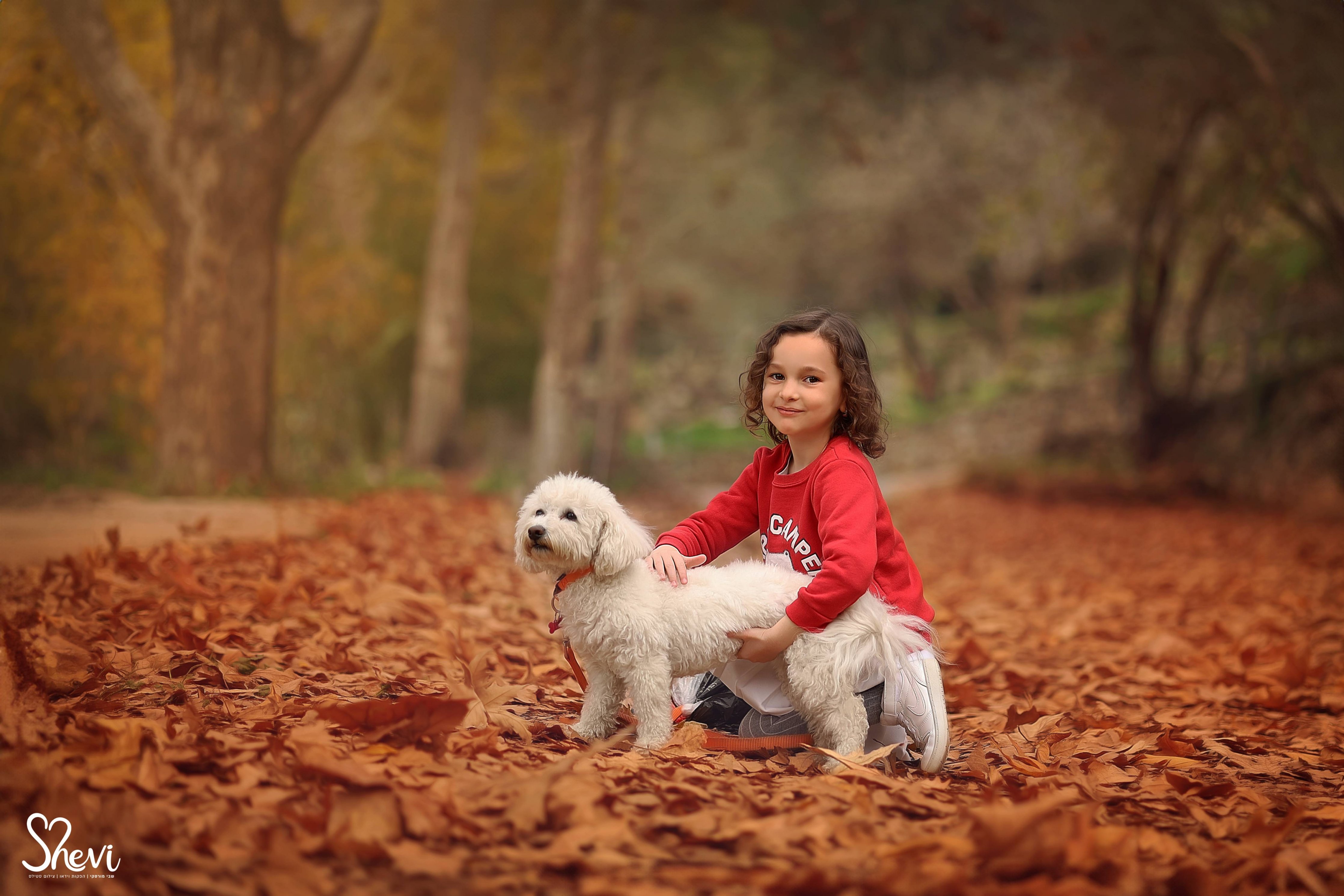צילום: שבי 0527189310