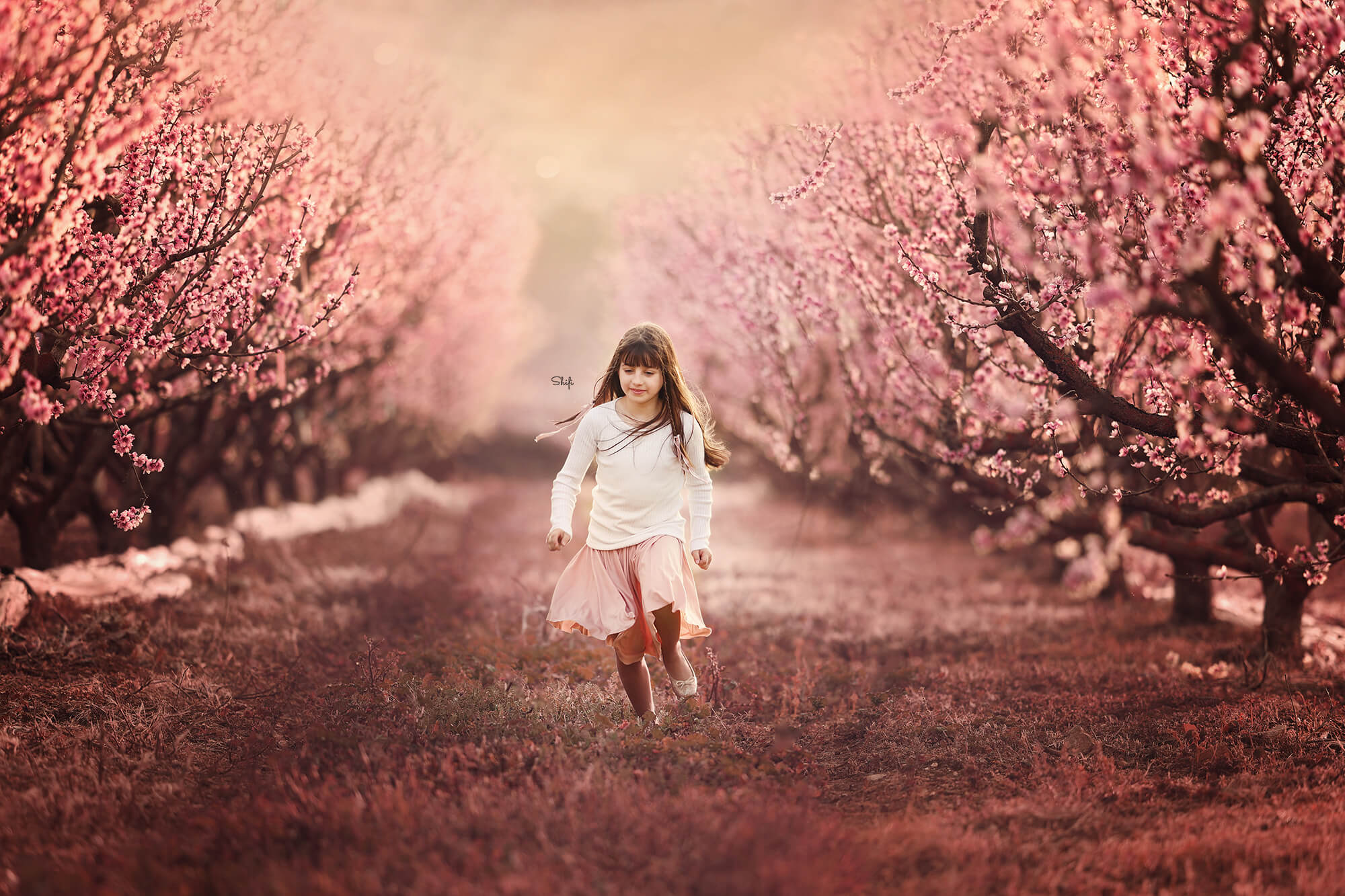 צילום שיפי נמטובסקי (1).jpg