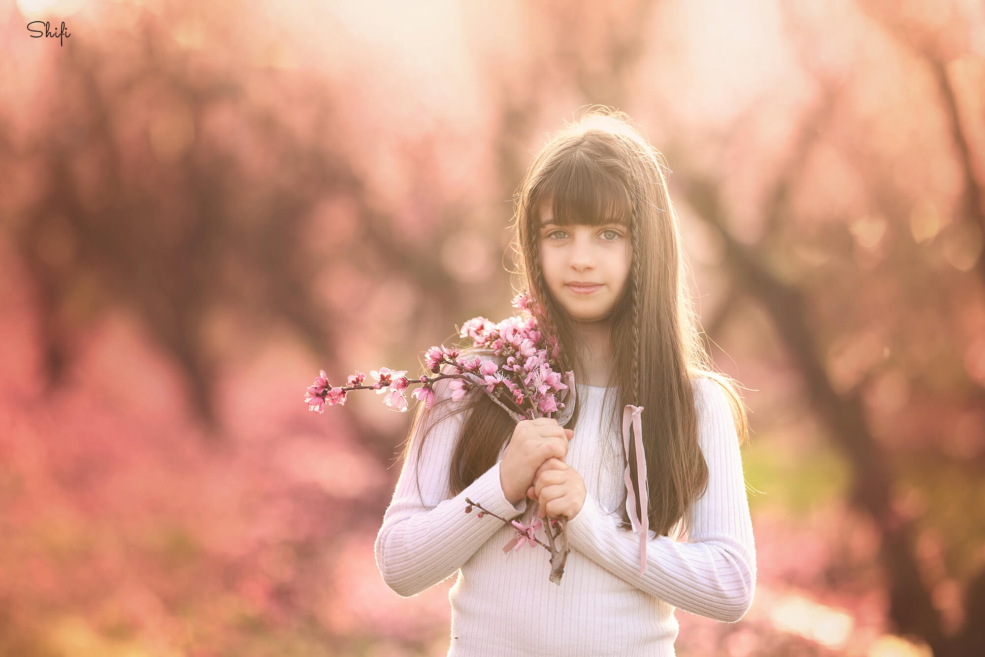 צילום שיפי נמטובסקי (13).jpg