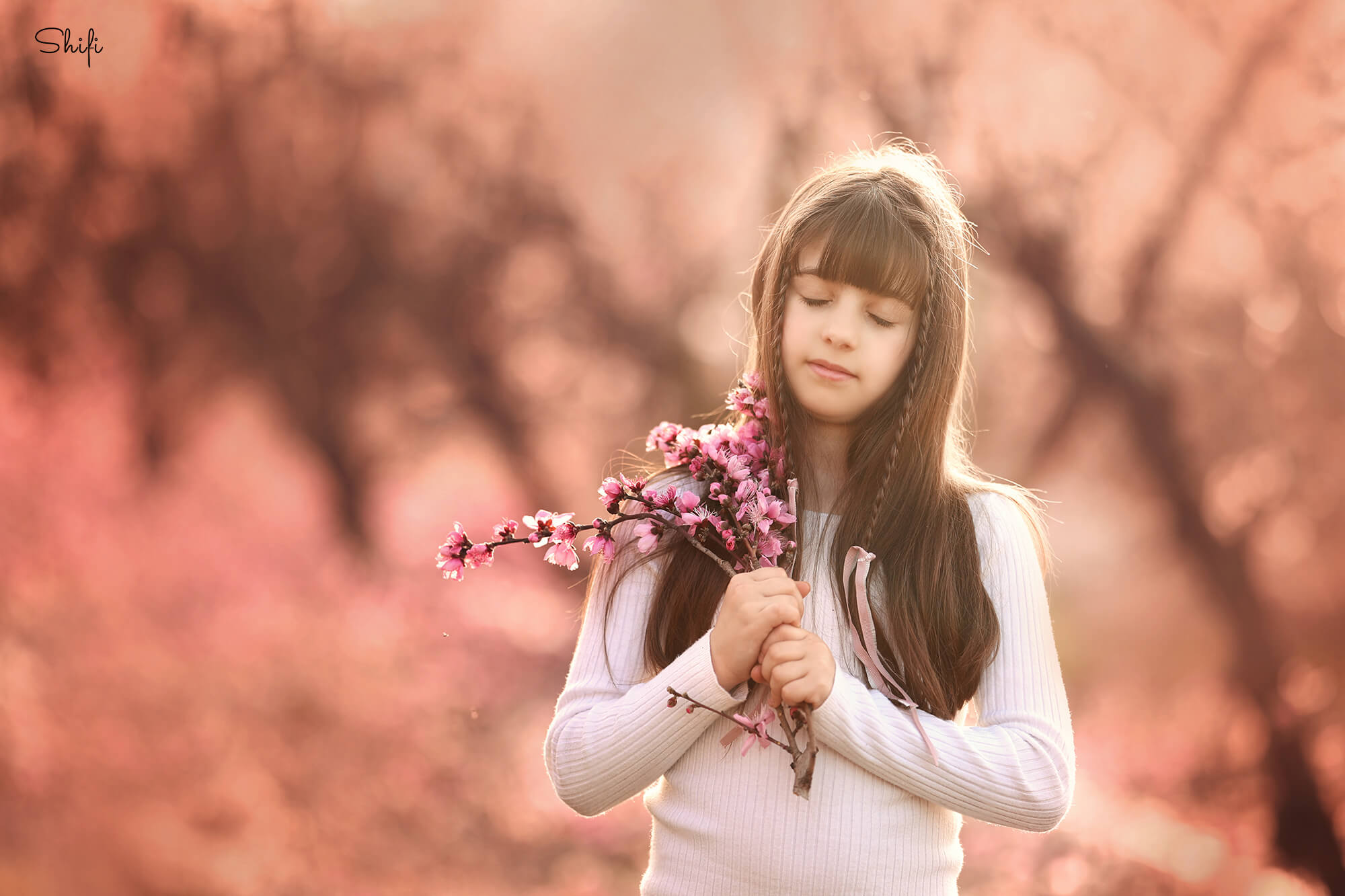 צילום שיפי נמטובסקי (14).jpg