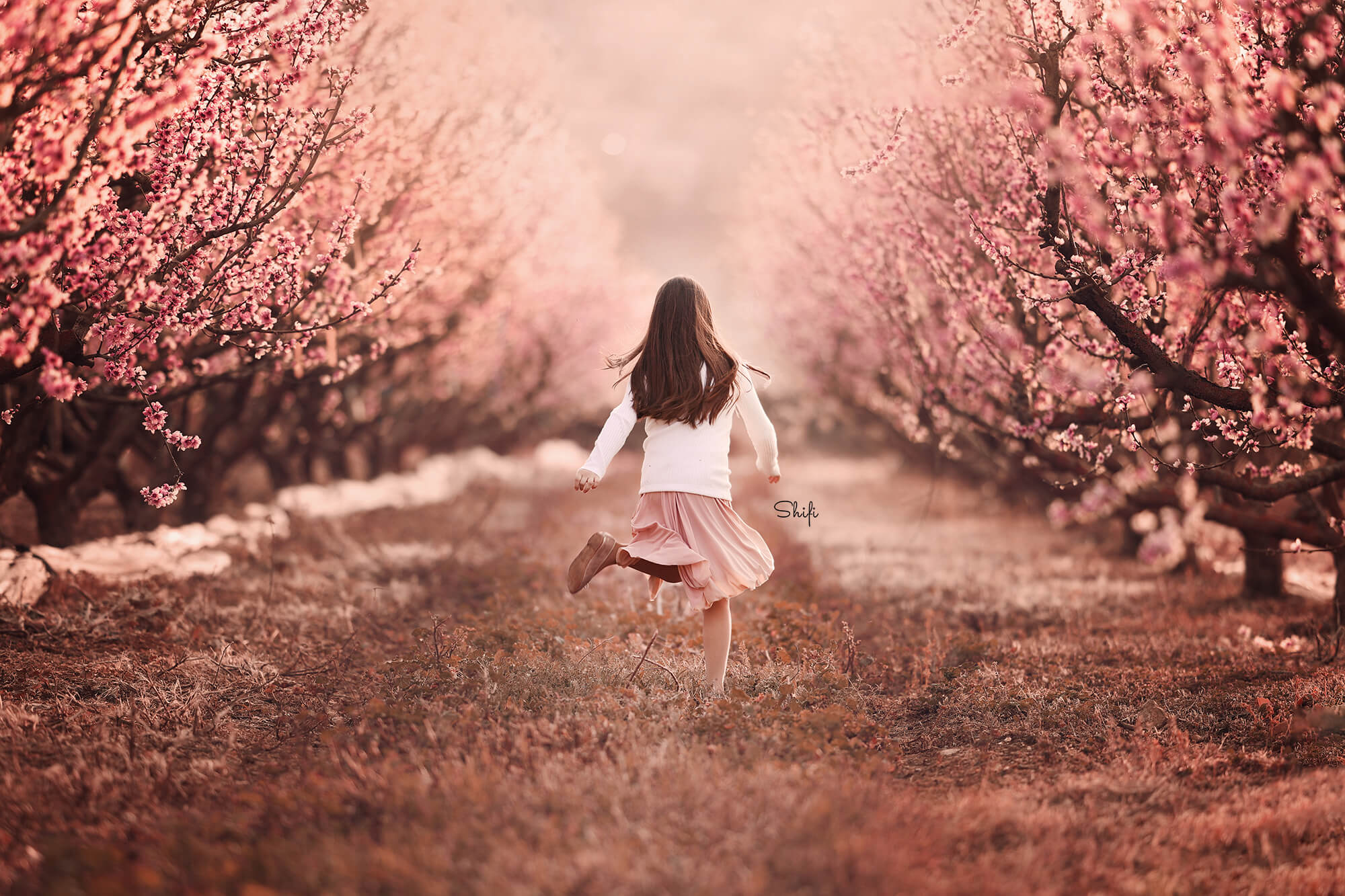 צילום שיפי נמטובסקי (15).jpg