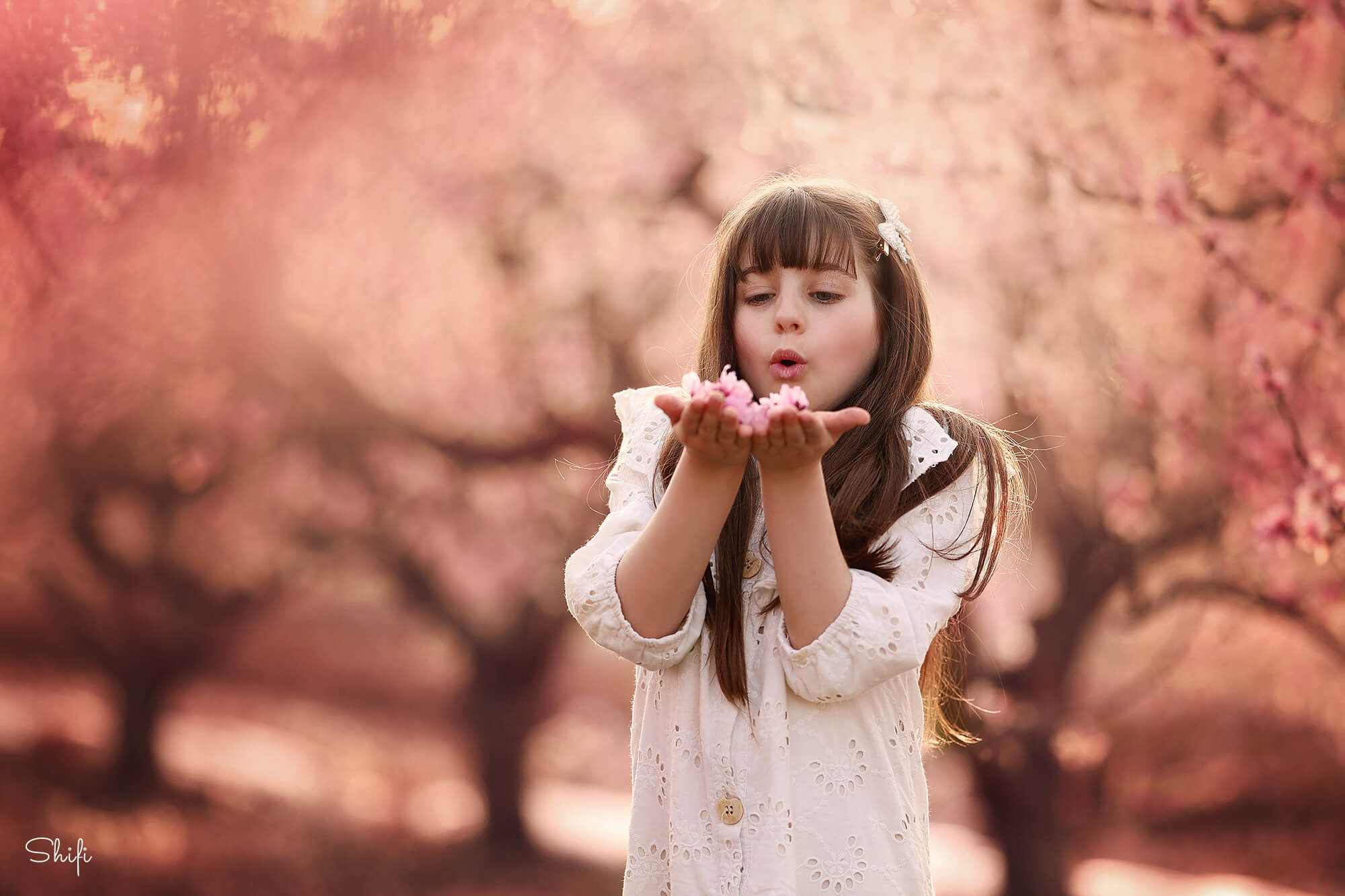 צילום שיפי נמטובסקי (3).jpg