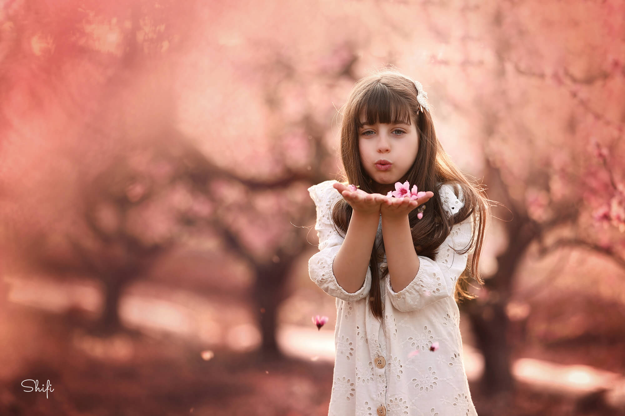 צילום שיפי נמטובסקי (4) (1).jpg