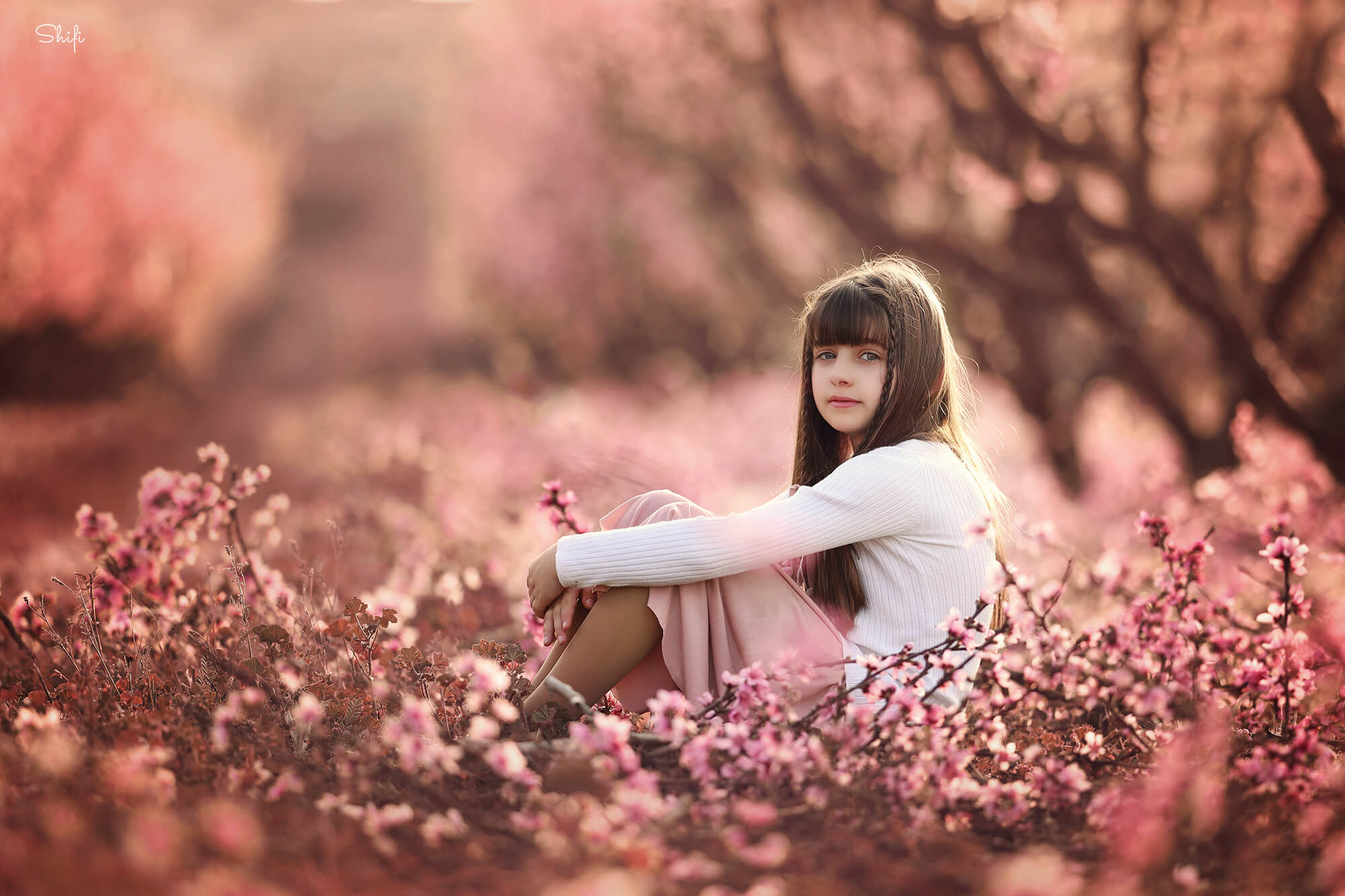 צילום שיפי נמטובסקי (7).jpg