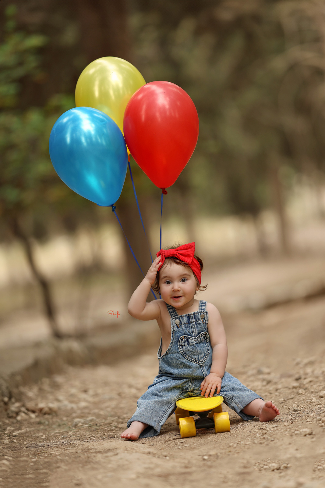 צילום שיפי 0548517049 (1).jpg