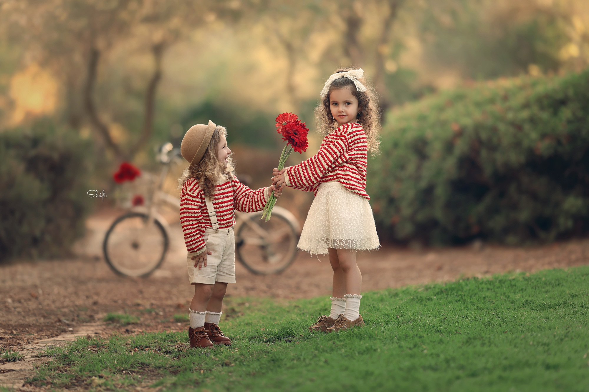 צילום שיפי 0548517049 (1).jpg