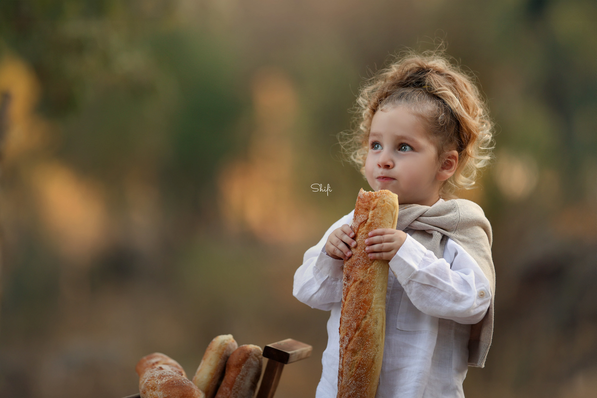 צילום שיפי 0548517049 (10).jpg