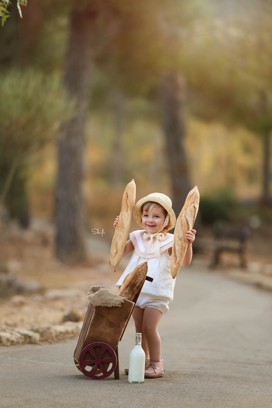 צילום שיפי 0548517049 (10).jpg