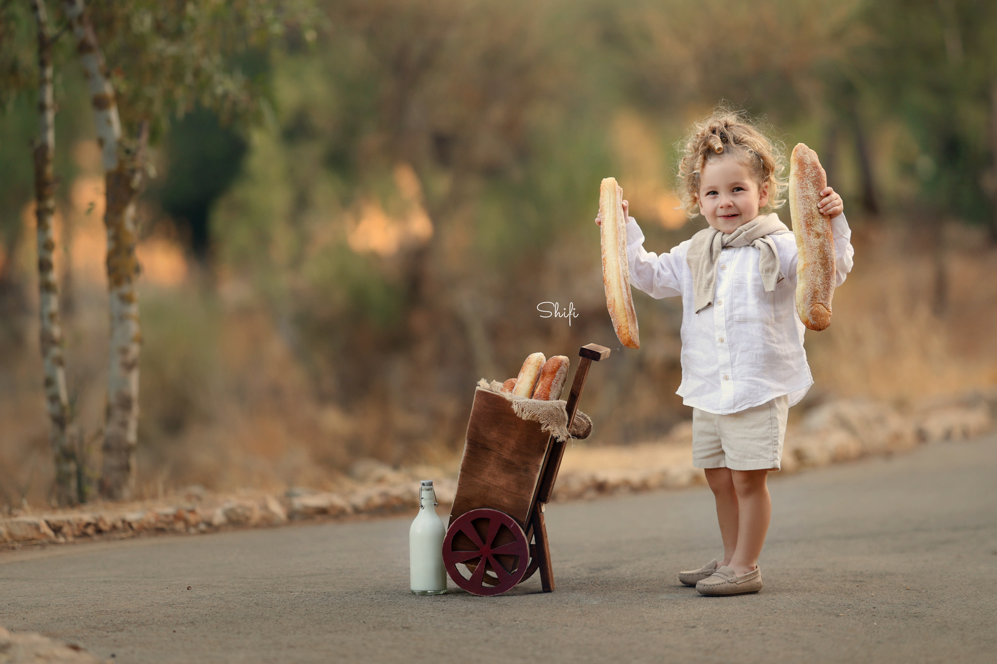 צילום שיפי 0548517049 (11).jpg