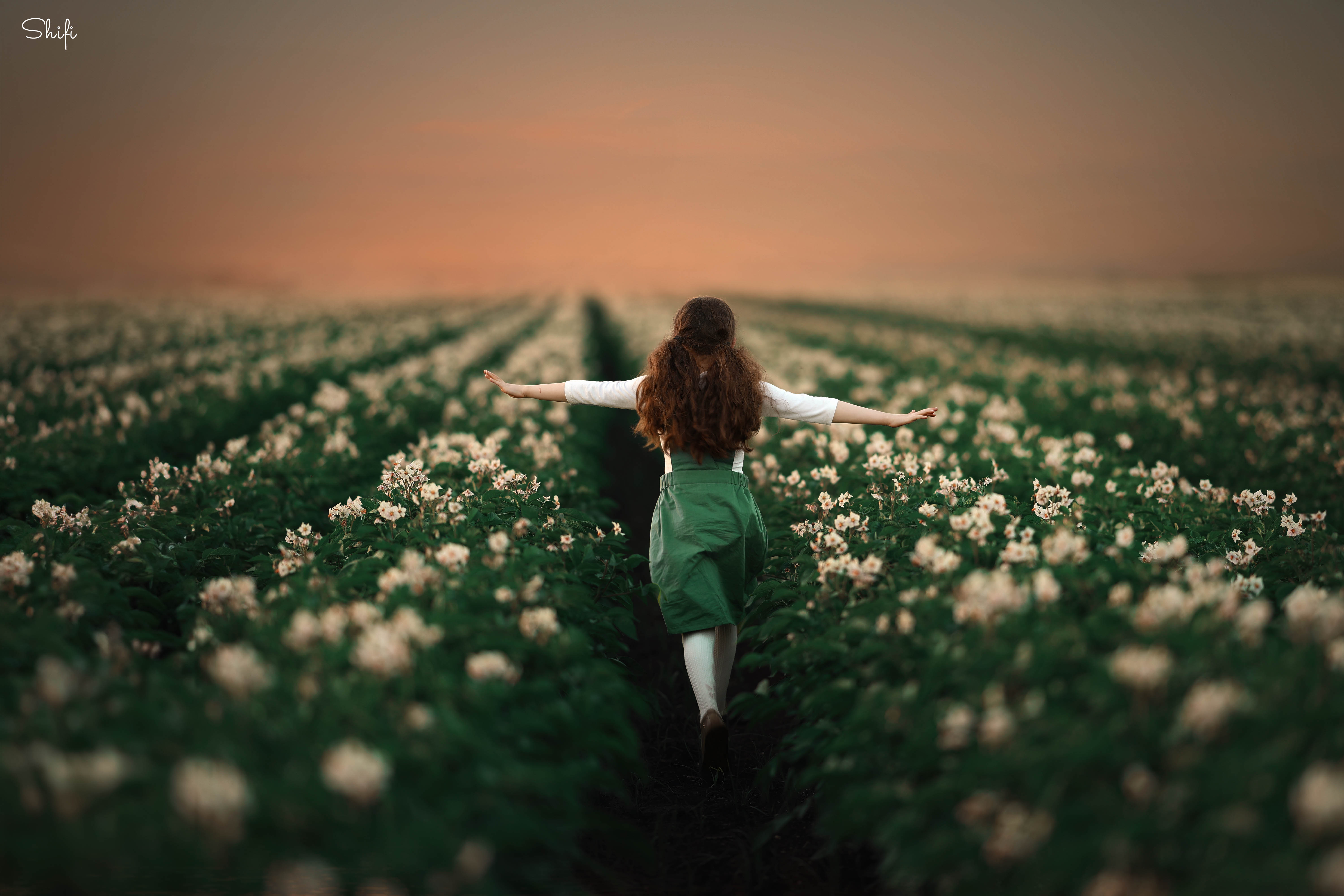 צילום שיפי 0548517049 (12).jpg