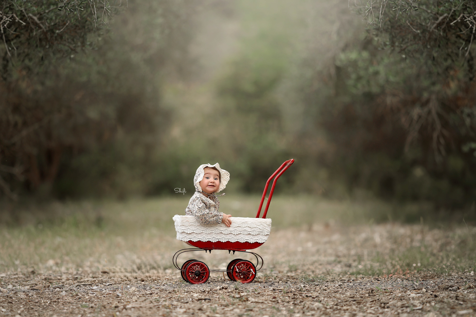 צילום שיפי 0548517049 (12).jpg