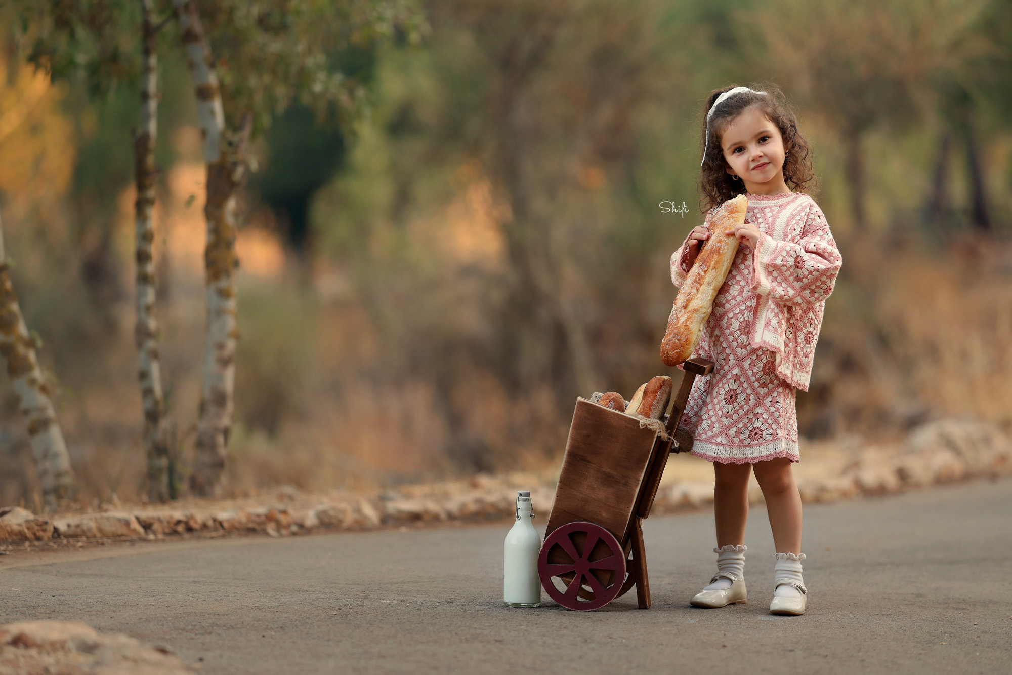 צילום שיפי 0548517049 (12).jpg