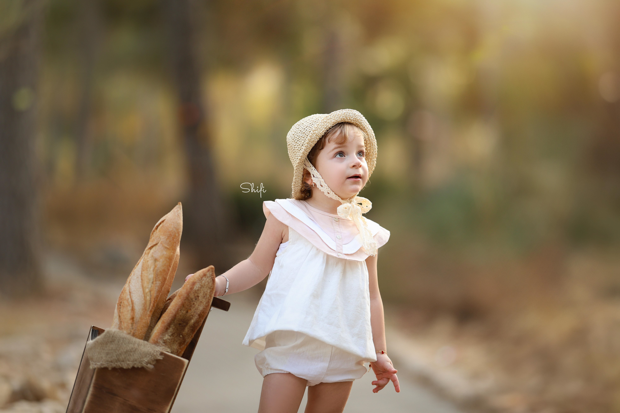 צילום שיפי 0548517049 (12).jpg