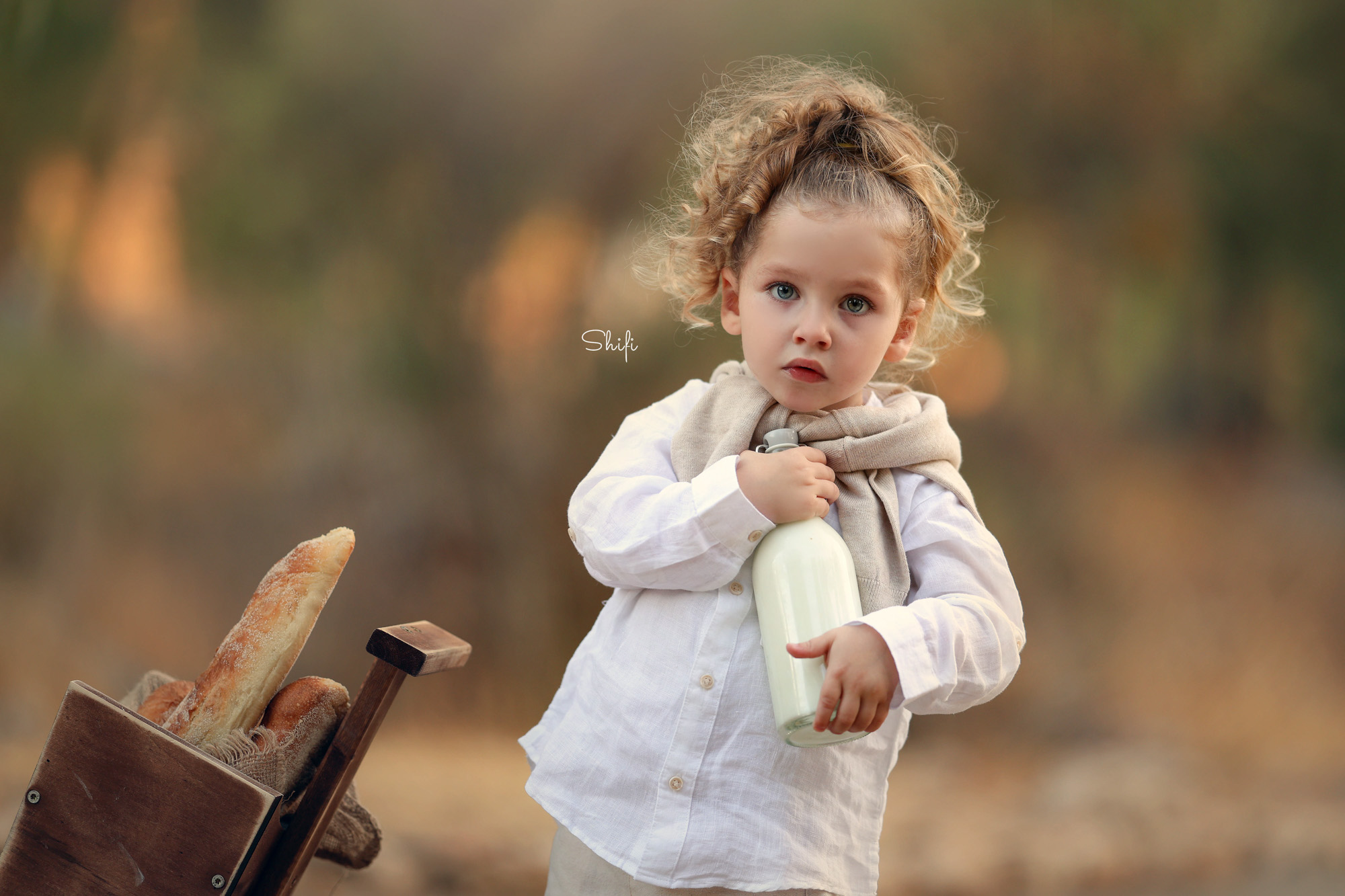 צילום שיפי 0548517049 (13).jpg