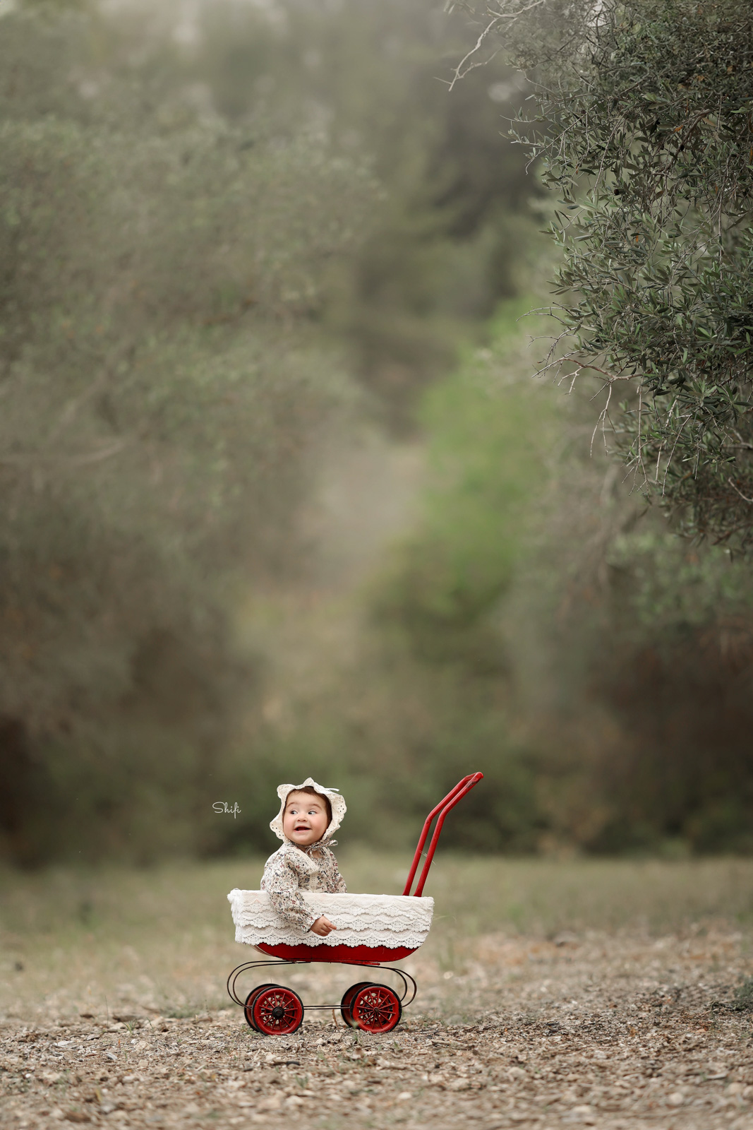 צילום שיפי 0548517049 (14).jpg