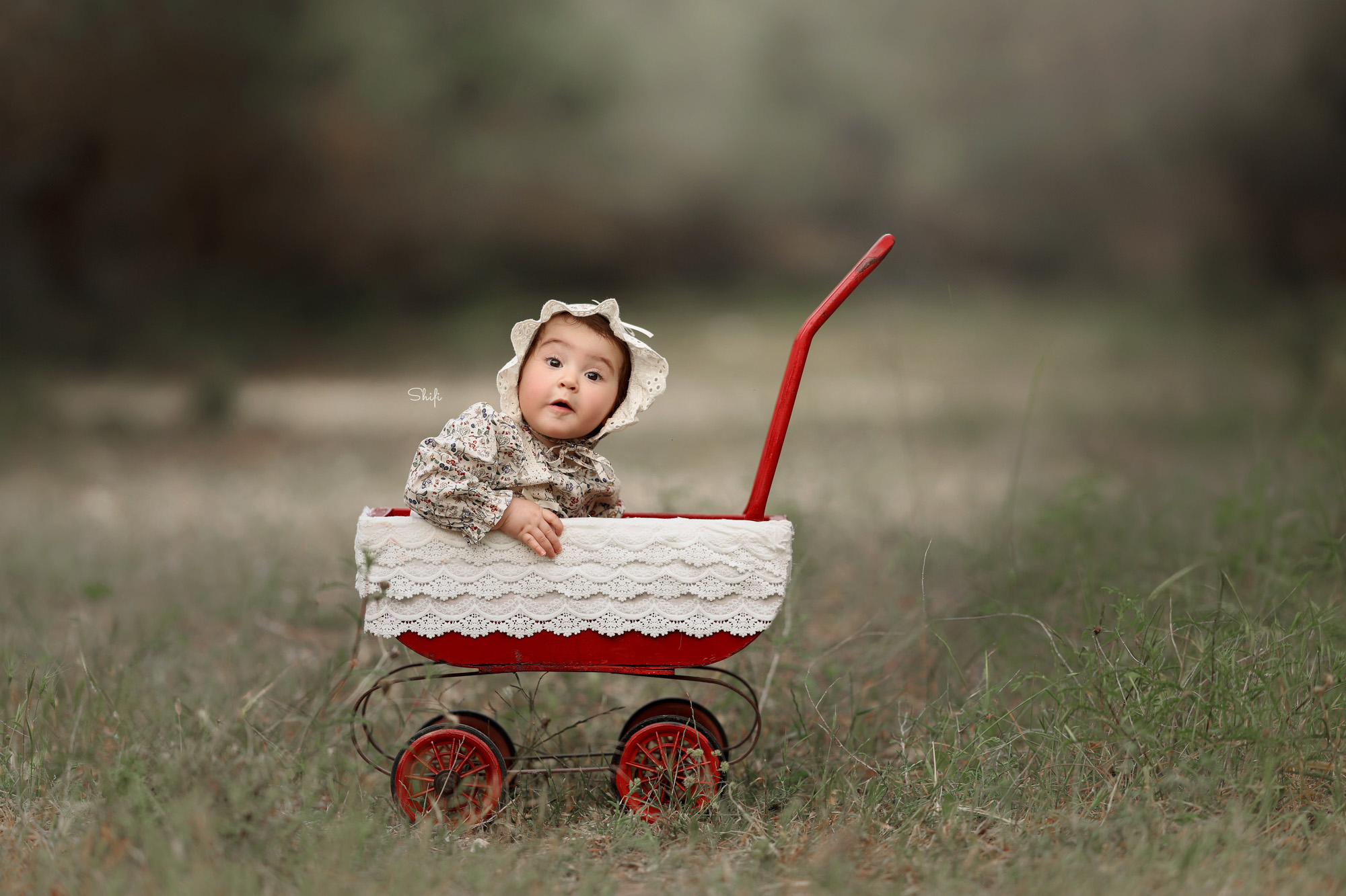 צילום שיפי 0548517049 (16).jpg