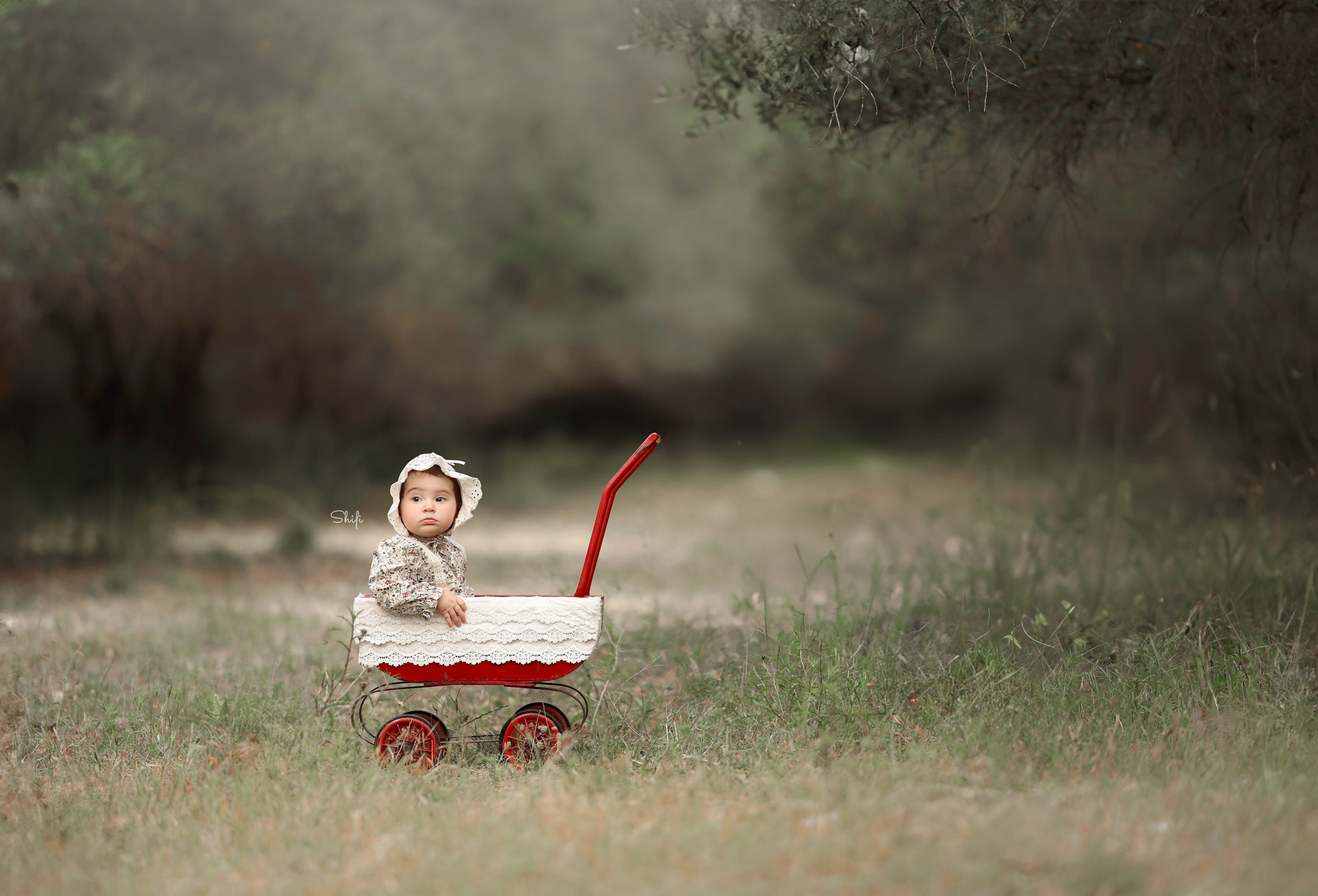 צילום שיפי 0548517049 (17).jpg