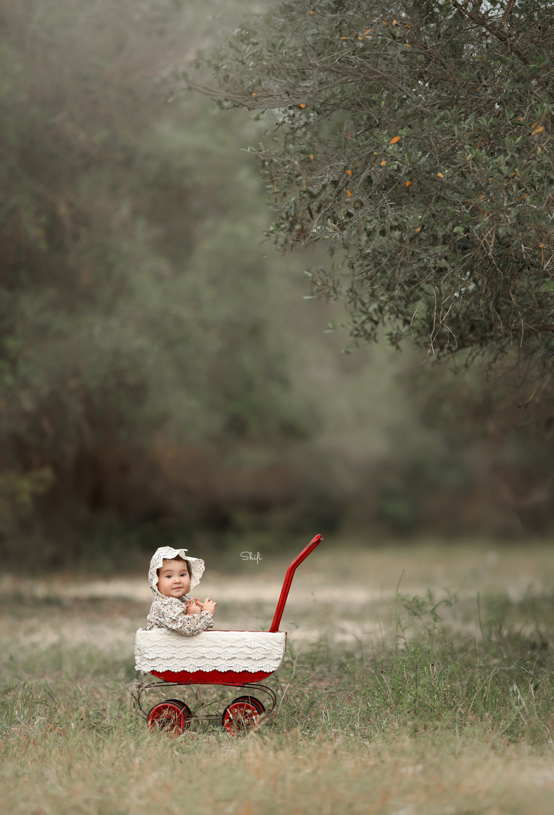 צילום שיפי 0548517049 (18).jpg