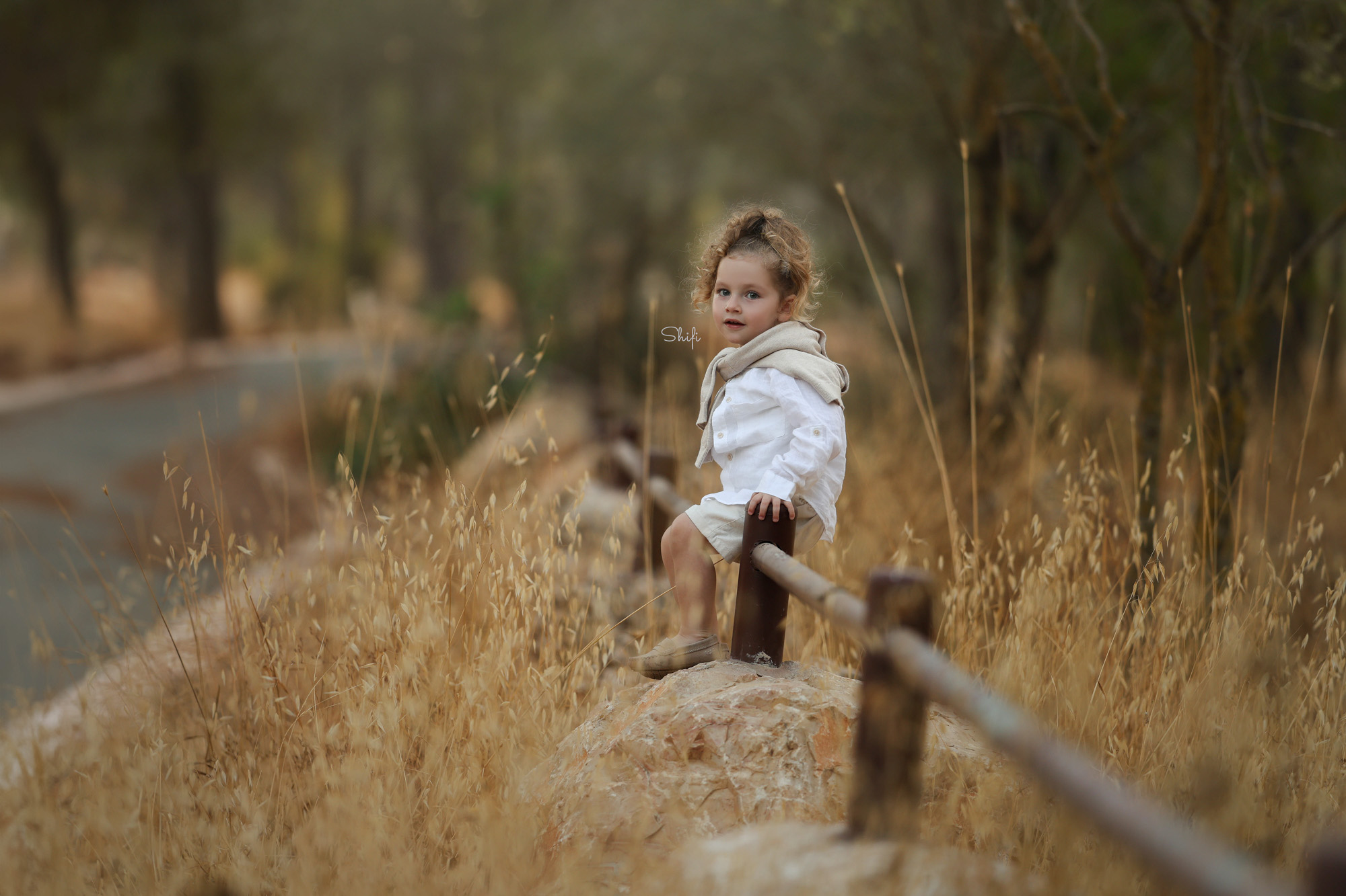 צילום שיפי 0548517049 (18).jpg