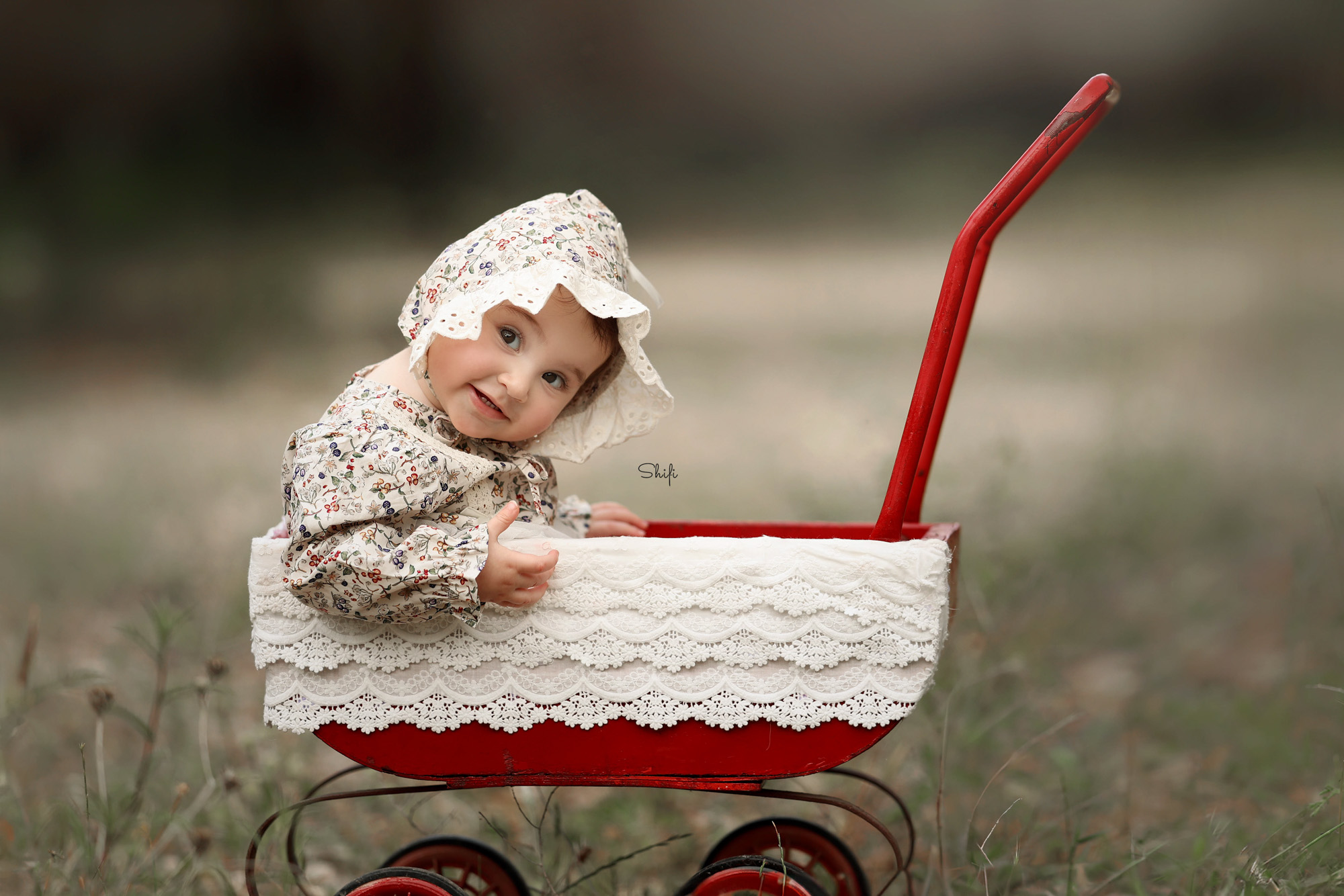 צילום שיפי 0548517049 (19).jpg