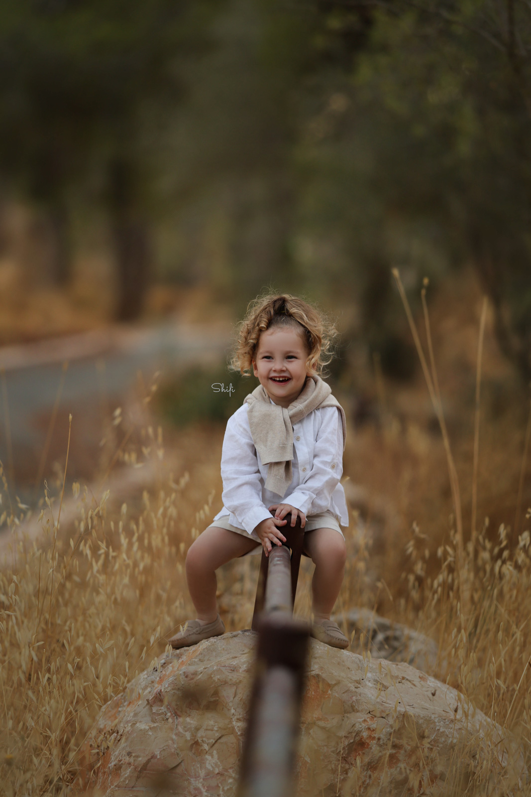 צילום שיפי 0548517049 (19).jpg