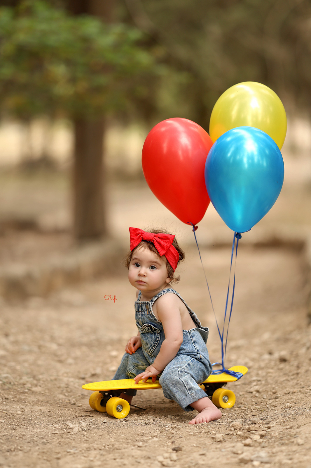 צילום שיפי 0548517049 (2).jpg